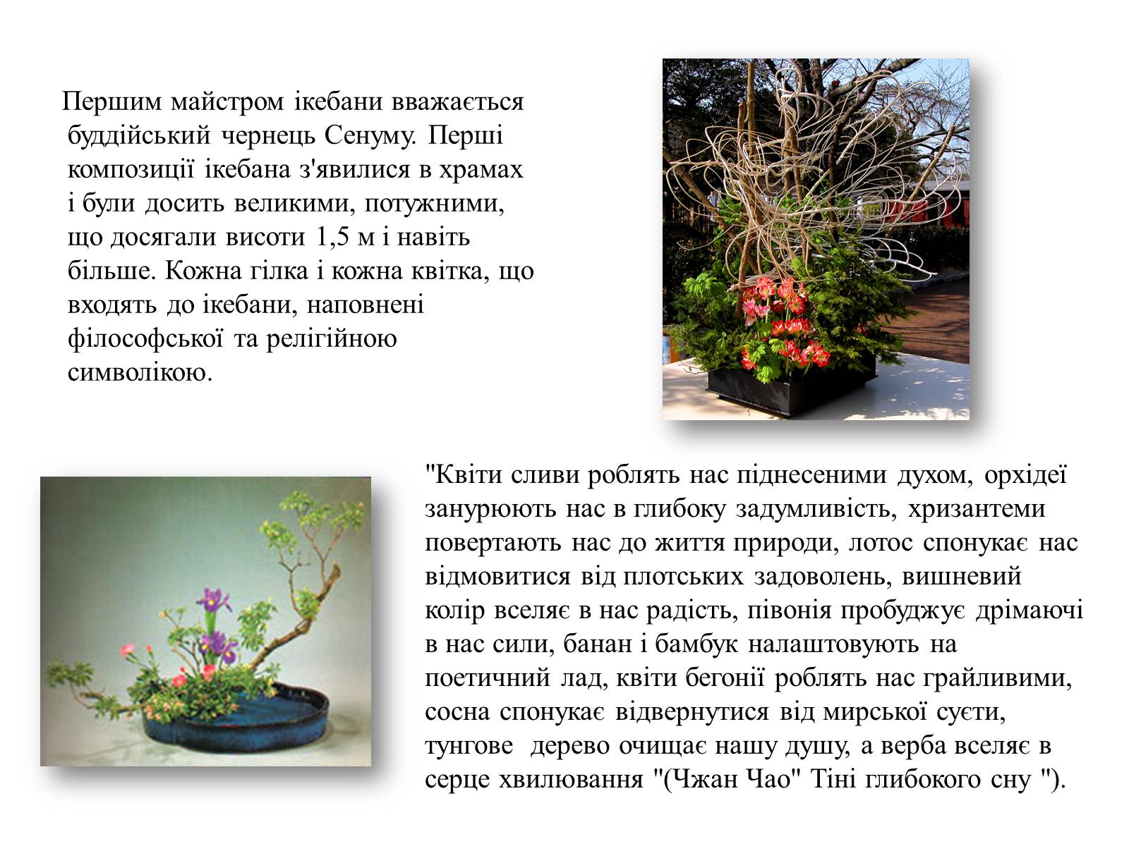 Презентація на тему «Мистецтво Ікебани» - Слайд #5 Презентація на тему «Мистецтво Ікебани» - Слайд #5