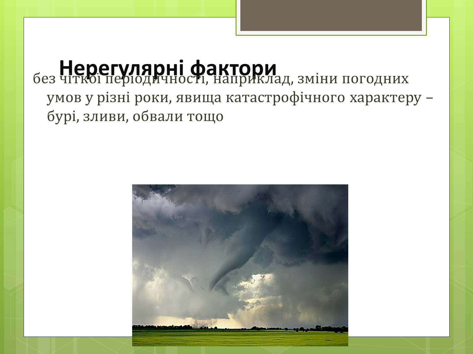 Презентація на тему «Екологічні фактори» (варіант 3) - Слайд #11 Презентація на тему «Екологічні фактори» (варіант 3) - Слайд #11