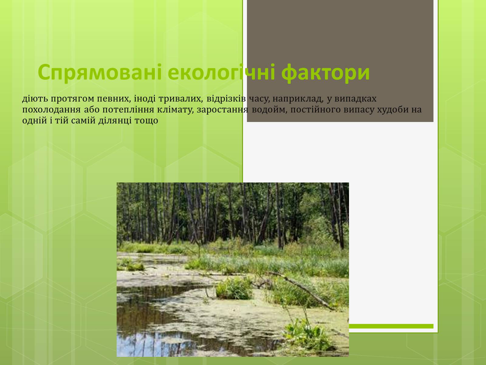 Презентація на тему «Екологічні фактори» (варіант 3) - Слайд #12 Презентація на тему «Екологічні фактори» (варіант 3) - Слайд #12