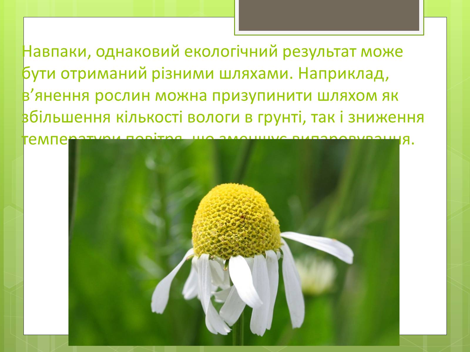 Презентація на тему «Екологічні фактори» (варіант 3) - Слайд #18 Презентація на тему «Екологічні фактори» (варіант 3) - Слайд #18