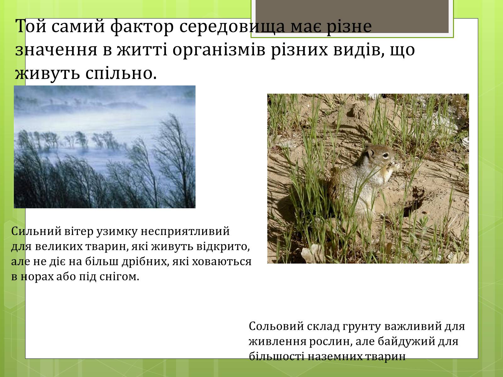 Презентація на тему «Екологічні фактори» (варіант 3) - Слайд #7 Презентація на тему «Екологічні фактори» (варіант 3) - Слайд #7
