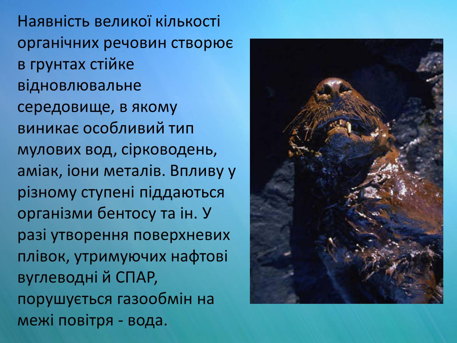 Презентація на тему «Дампінг» - Слайд #6 Презентація на тему «Дампінг» - Слайд #6