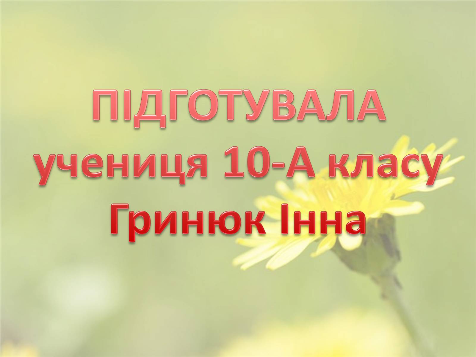 Презентація на тему «Скоморохи» (варіант 2) - Слайд #15 Презентація на тему «Скоморохи» (варіант 2) - Слайд #15