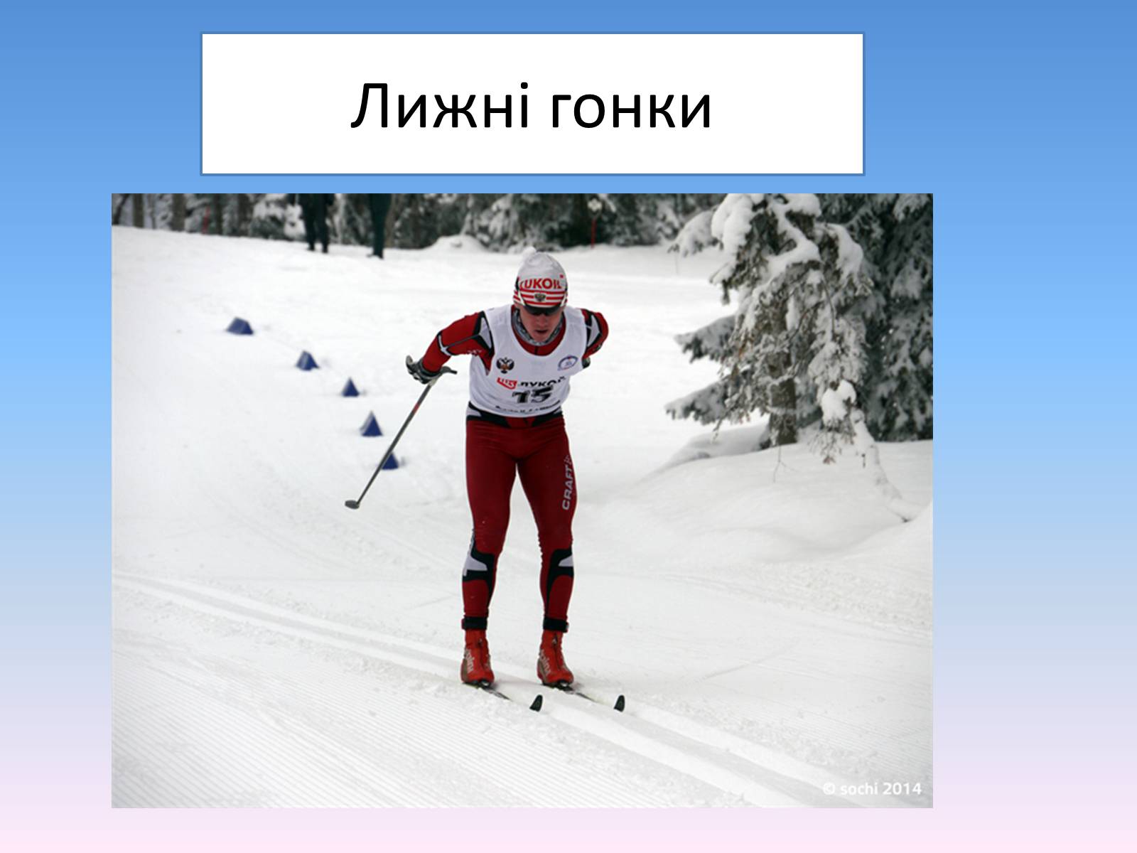 Презентація на тему «Сочі 2014» - Слайд #47 Презентація на тему «Сочі 2014» - Слайд #47