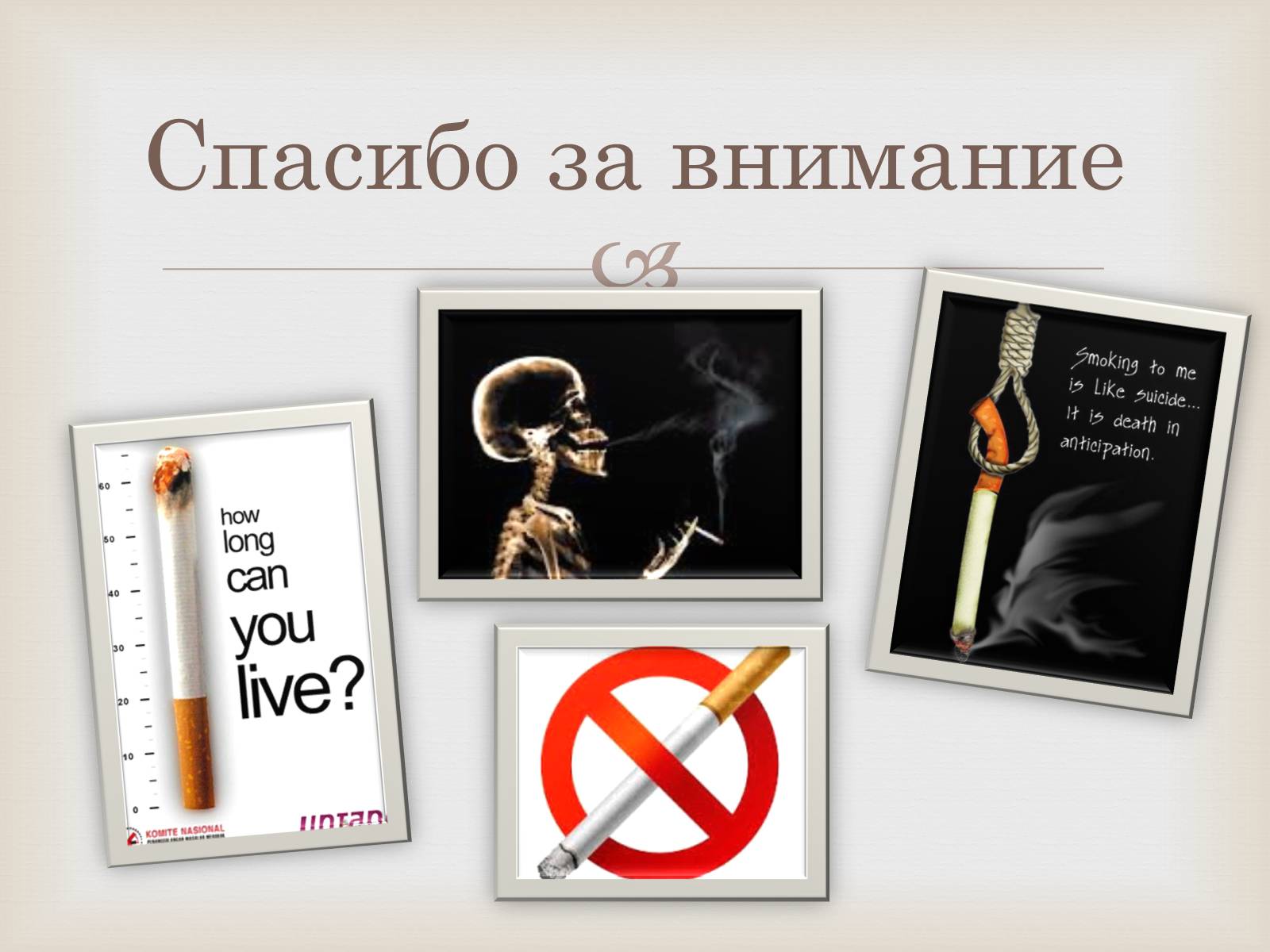 Презентація на тему «История табака в мире» - Слайд #12 Презентація на тему «История табака в мире» - Слайд #12