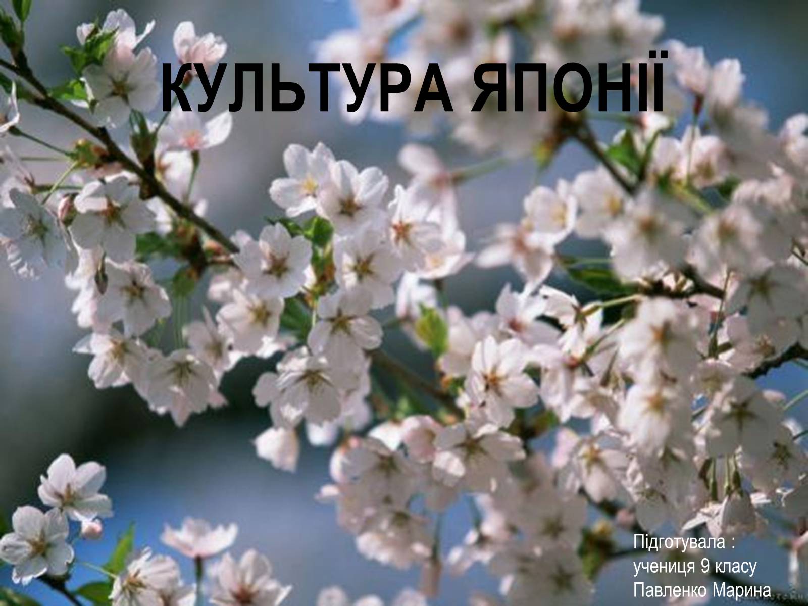 Презентація на тему «Культура Японії» (варіант 5) - Слайд #1 Презентація на тему «Культура Японії» (варіант 5) - Слайд #1