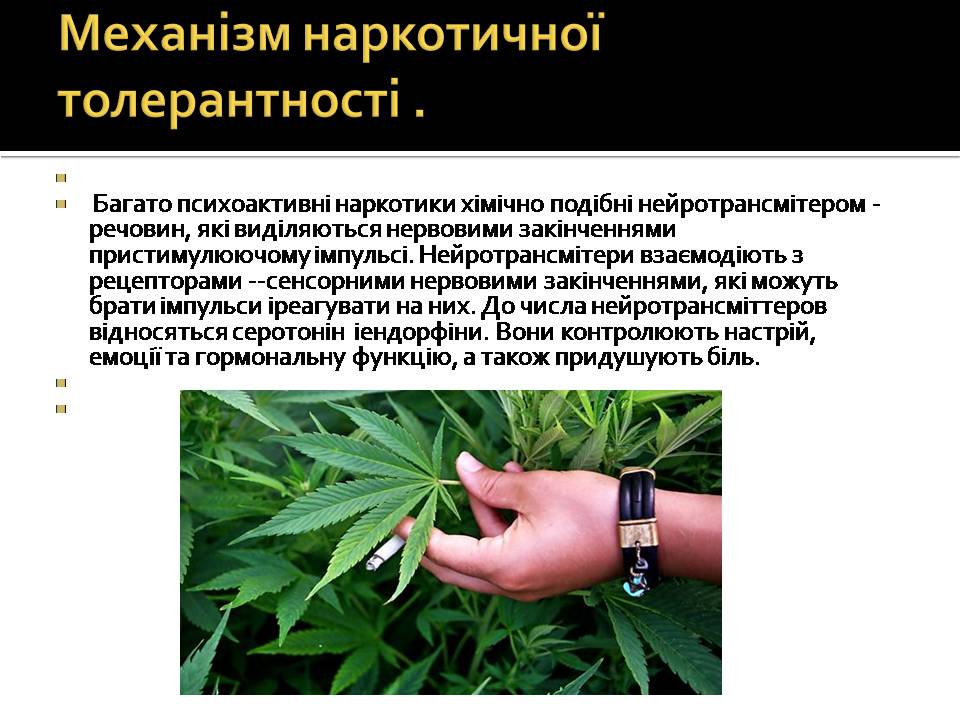 Презентація на тему «Вплив наркотиків на здоров’я людини» (варіант 4) - Слайд #8 Презентація на тему «Вплив наркотиків на здоров’я людини» (варіант 4) - Слайд #8