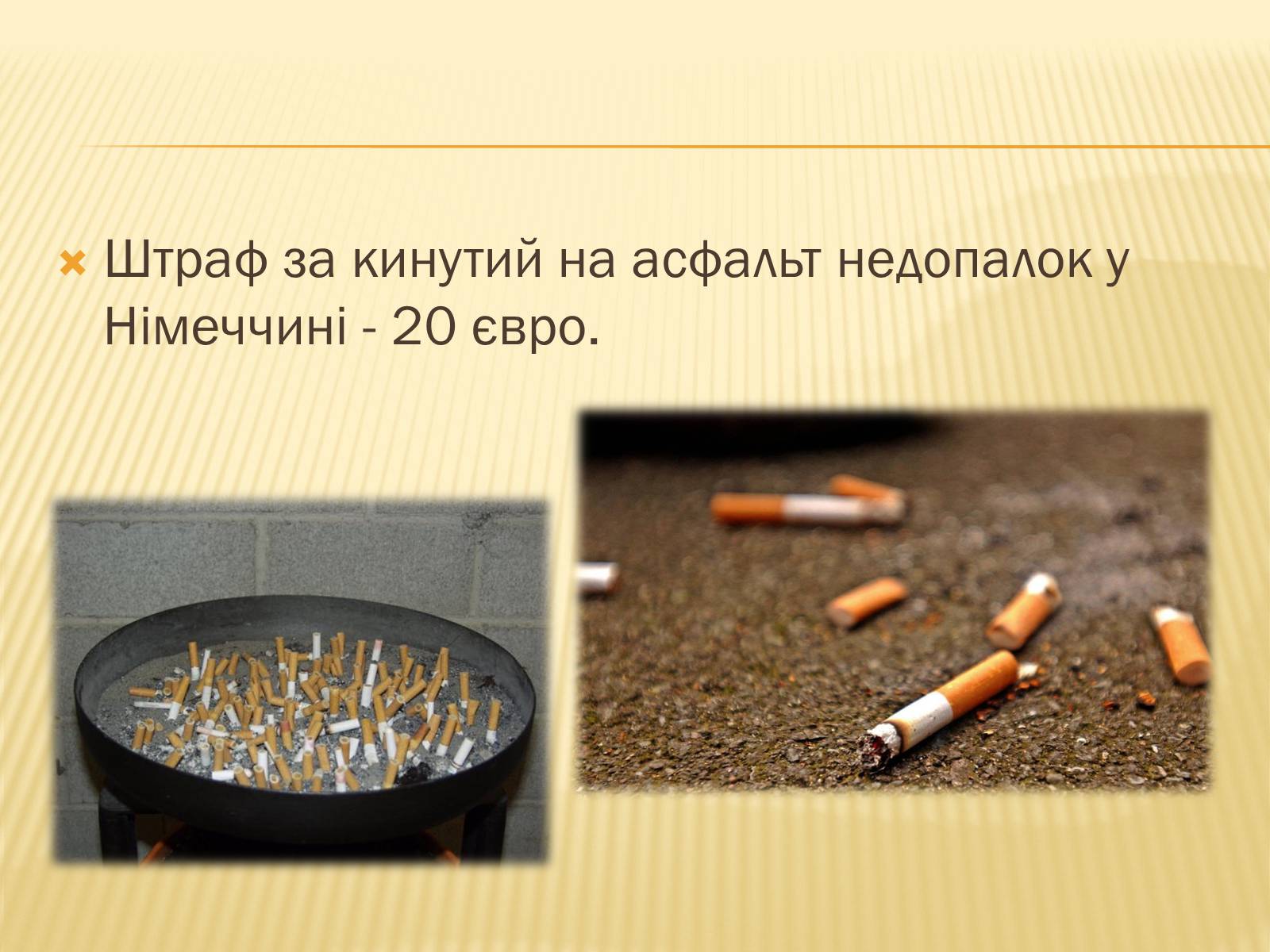Презентація на тему «12 фактів про Німеччину» - Слайд #10 Презентація на тему «12 фактів про Німеччину» - Слайд #10