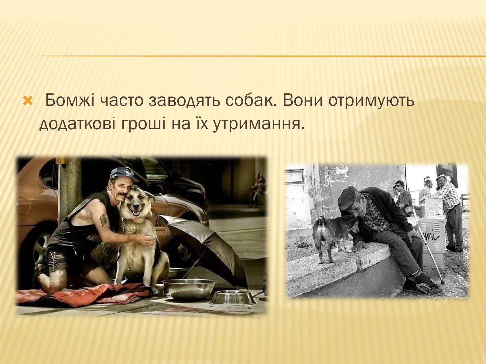 Презентація на тему «12 фактів про Німеччину» - Слайд #5 Презентація на тему «12 фактів про Німеччину» - Слайд #5