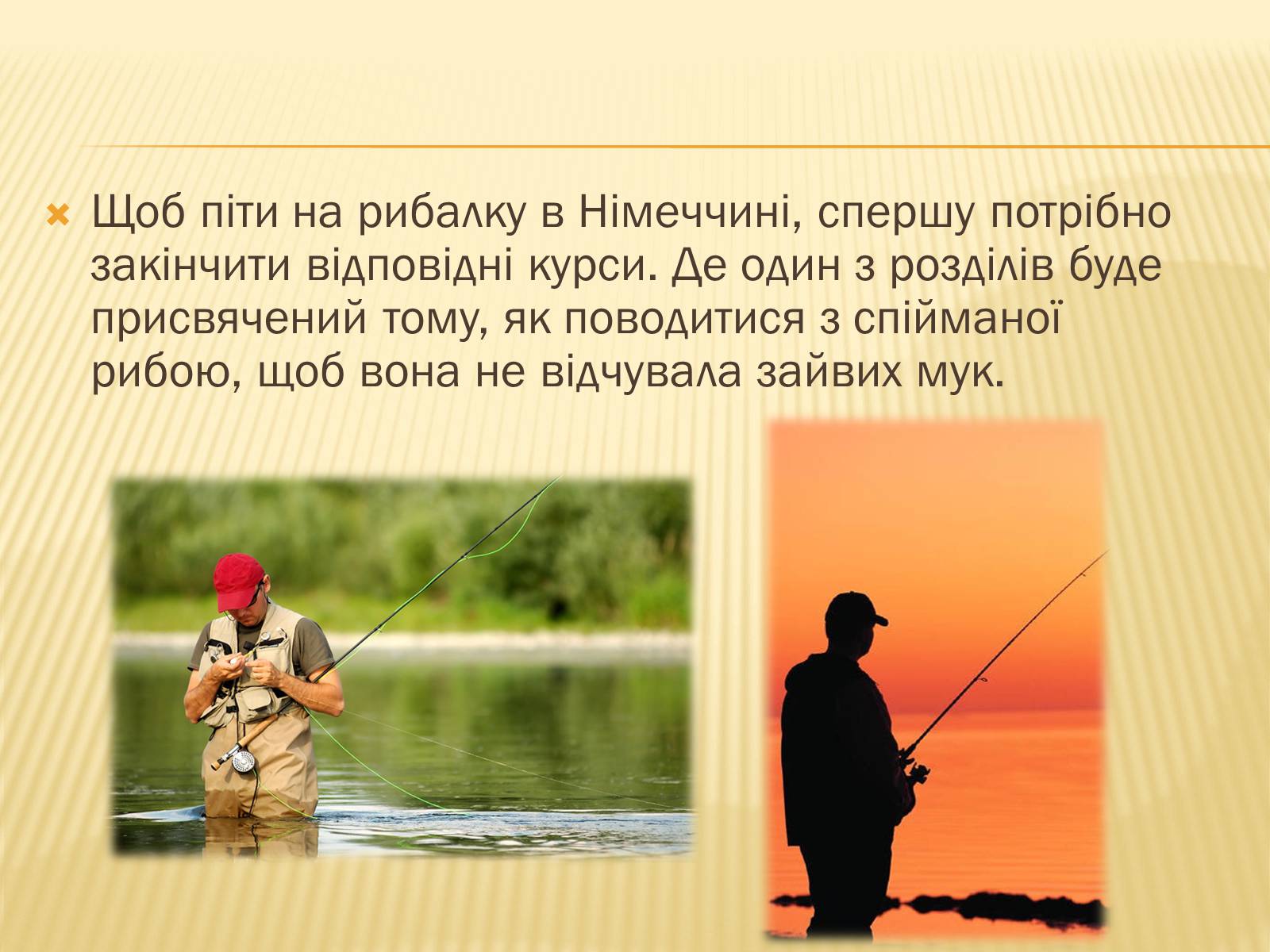 Презентація на тему «12 фактів про Німеччину» - Слайд #9 Презентація на тему «12 фактів про Німеччину» - Слайд #9