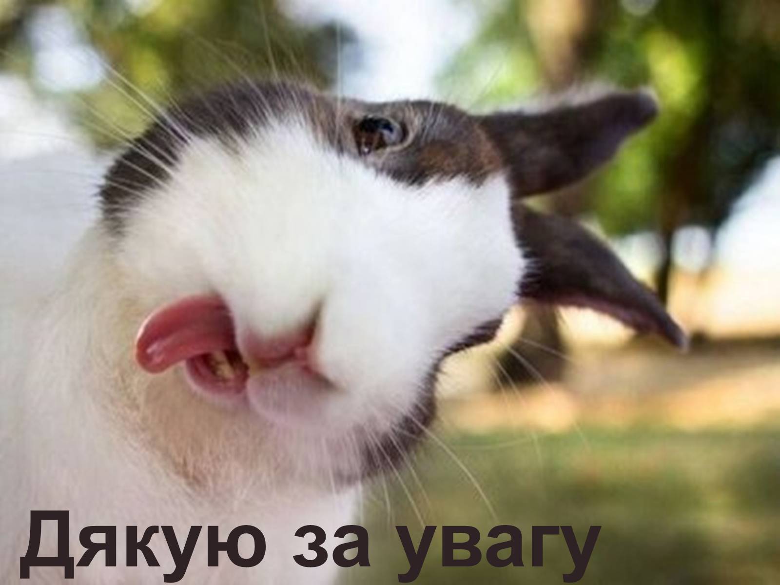 Презентація на тему «Релігія» - Слайд #10 Презентація на тему «Релігія» - Слайд #10