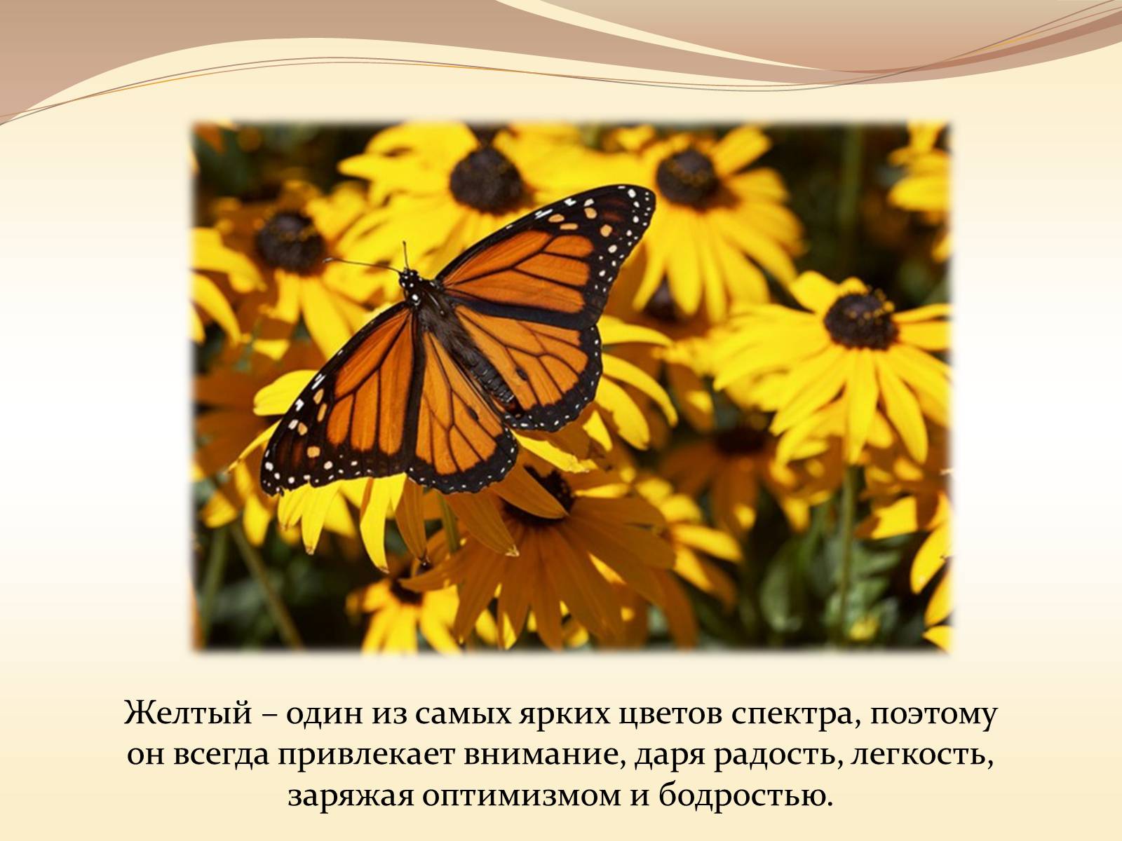 Презентація на тему «Жёлтый цвет в одежде» - Слайд #2 Презентація на тему «Жёлтый цвет в одежде» - Слайд #2