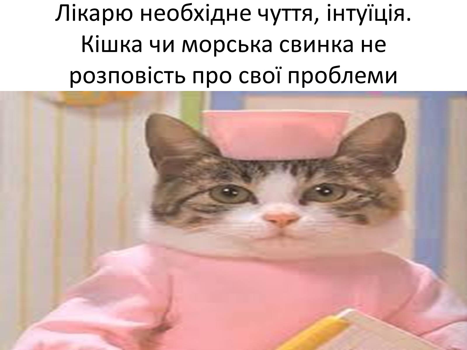Презентація на тему «Ветлікарі потрібні Україні» - Слайд #13 Презентація на тему «Ветлікарі потрібні Україні» - Слайд #13