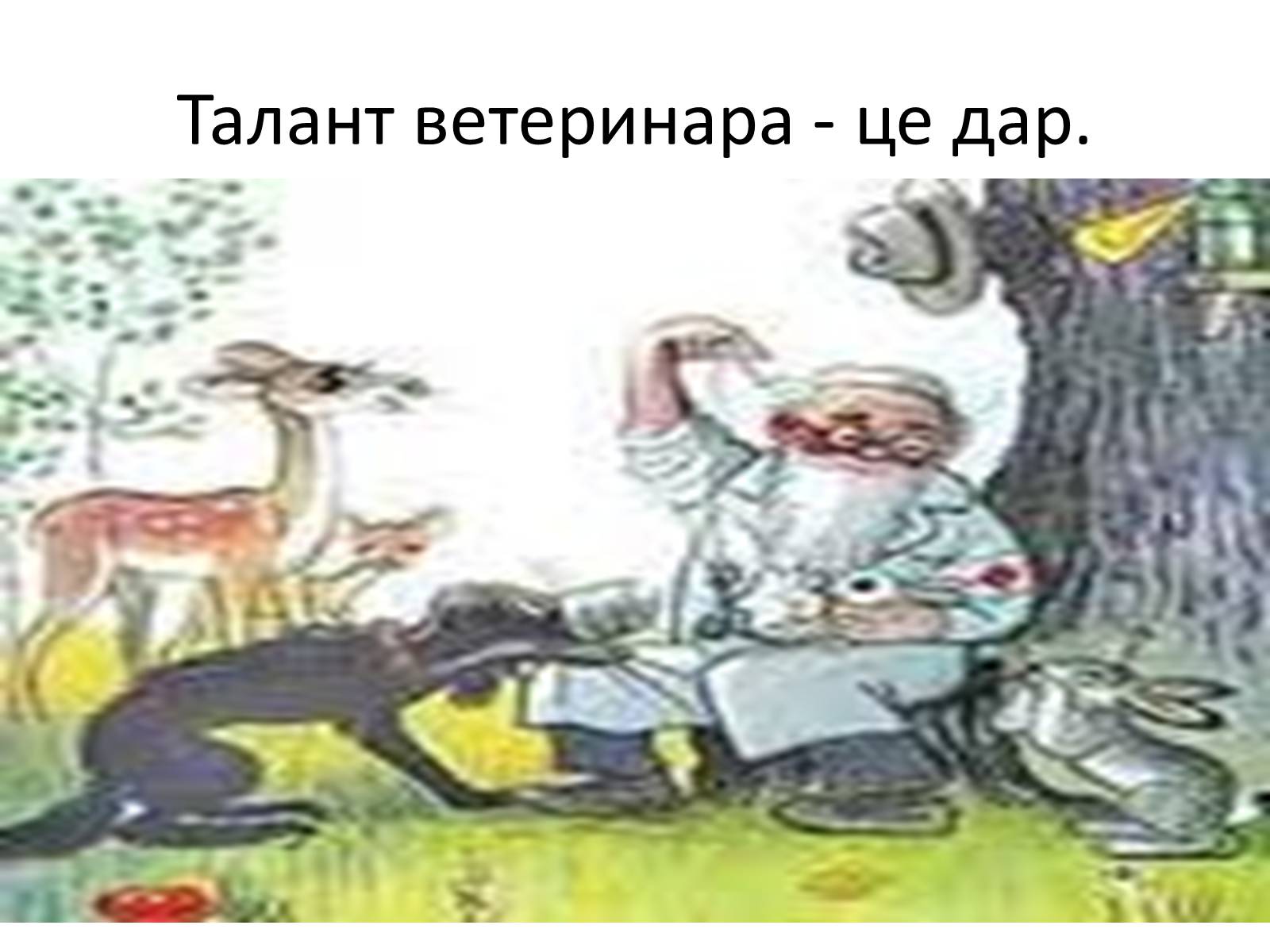 Презентація на тему «Ветлікарі потрібні Україні» - Слайд #14 Презентація на тему «Ветлікарі потрібні Україні» - Слайд #14