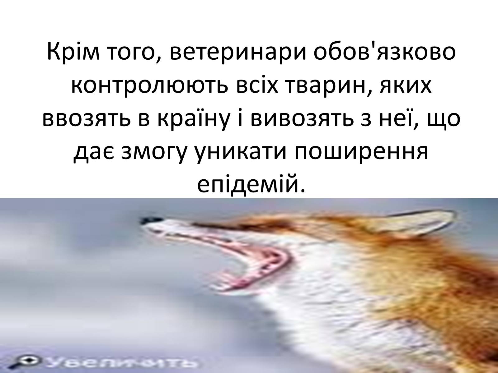 Презентація на тему «Ветлікарі потрібні Україні» - Слайд #16 Презентація на тему «Ветлікарі потрібні Україні» - Слайд #16