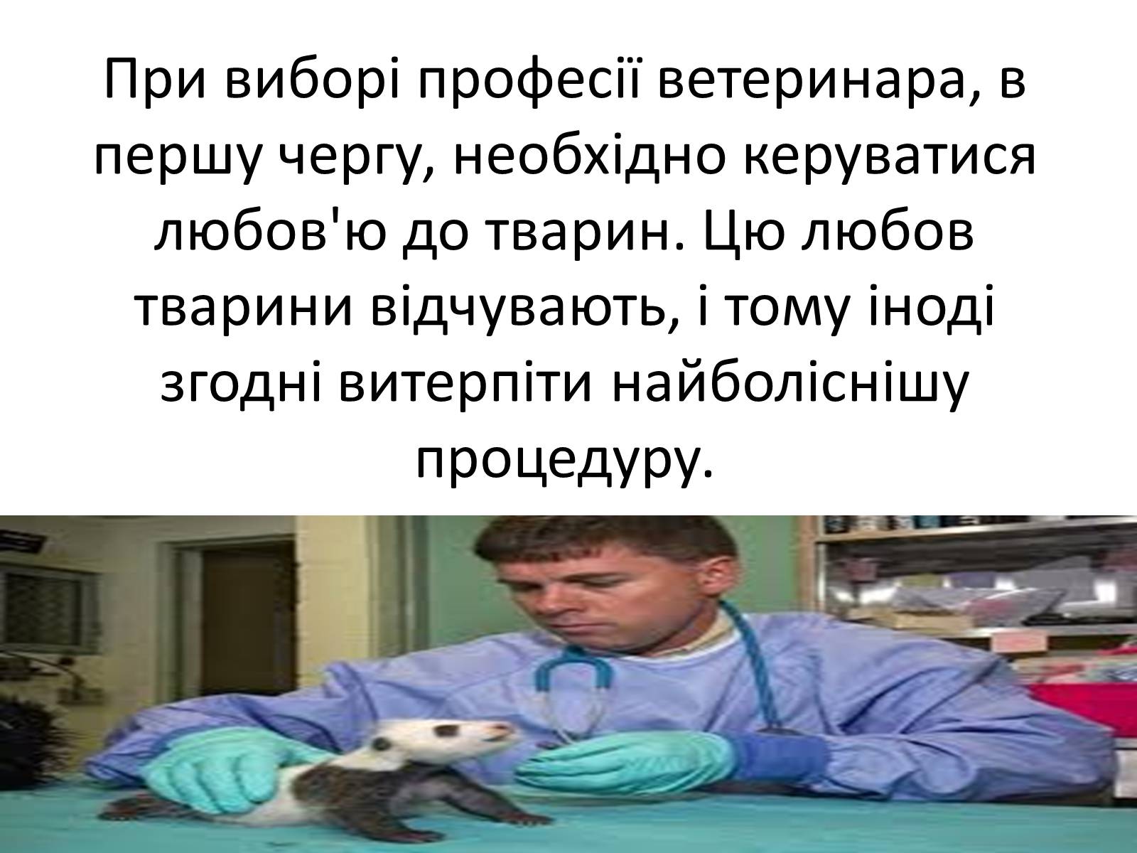 Презентація на тему «Ветлікарі потрібні Україні» - Слайд #17 Презентація на тему «Ветлікарі потрібні Україні» - Слайд #17