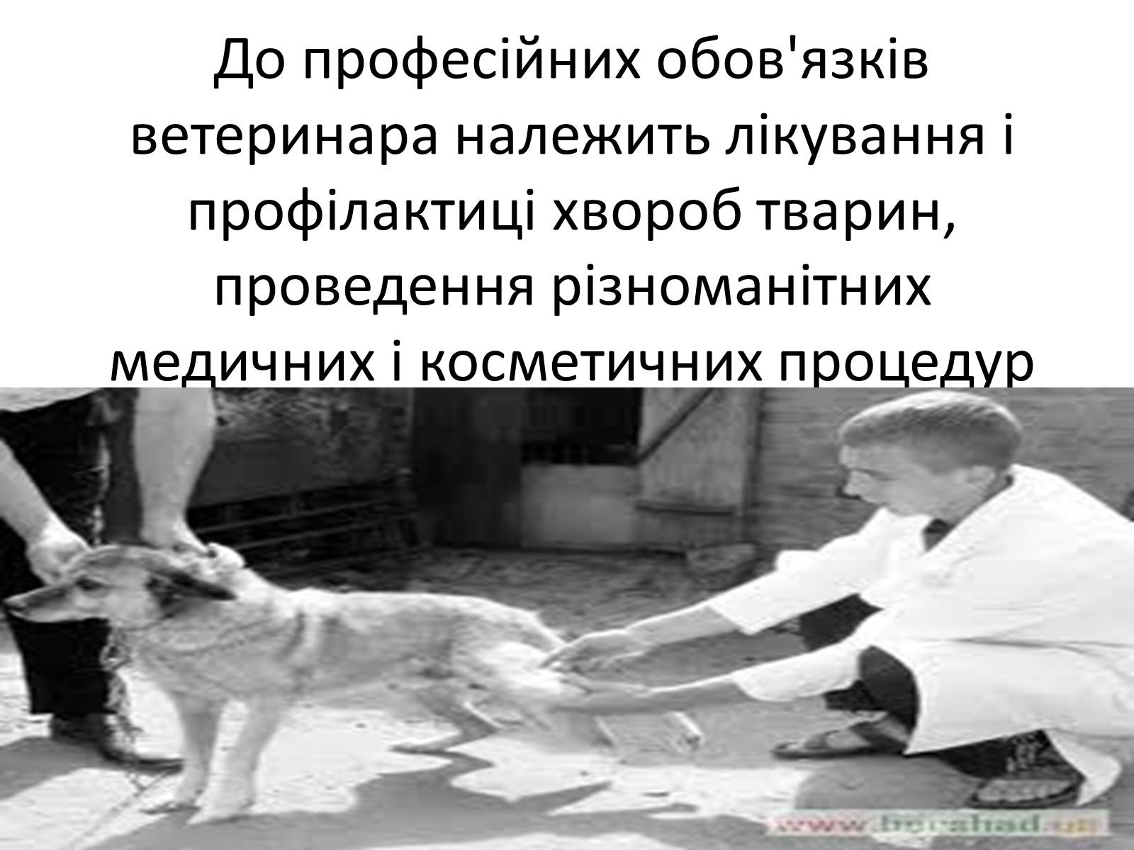 Презентація на тему «Ветлікарі потрібні Україні» - Слайд #18 Презентація на тему «Ветлікарі потрібні Україні» - Слайд #18