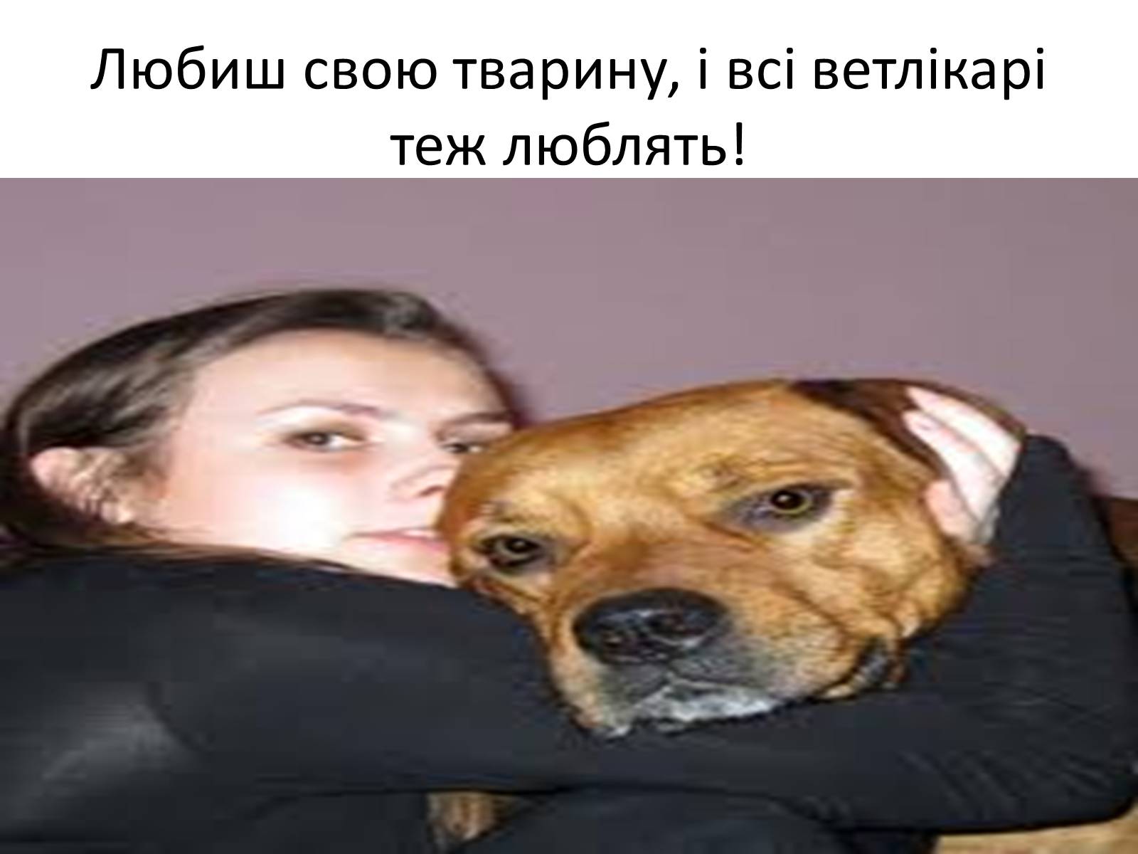 Презентація на тему «Ветлікарі потрібні Україні» - Слайд #23 Презентація на тему «Ветлікарі потрібні Україні» - Слайд #23