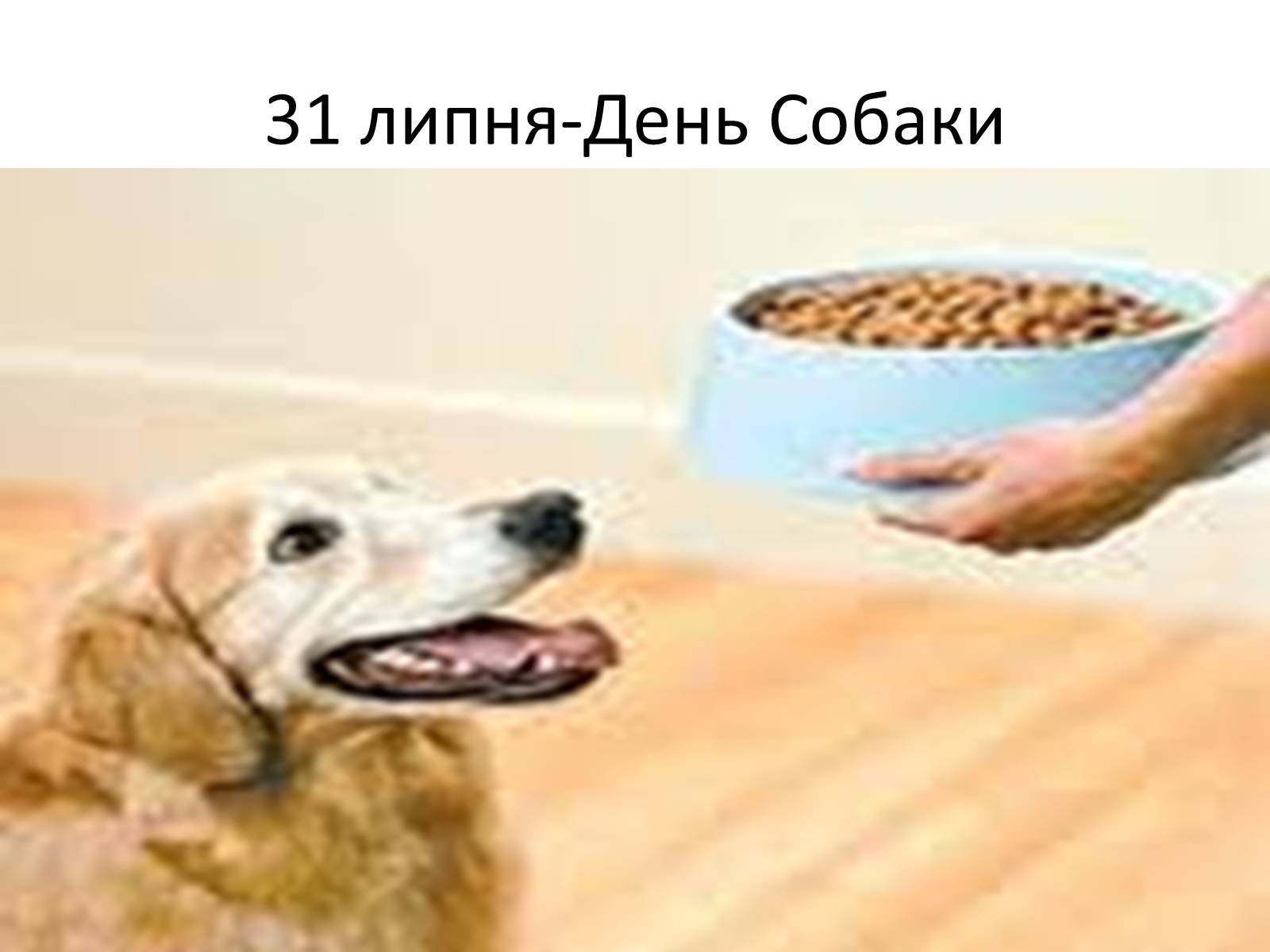 Презентація на тему «Ветлікарі потрібні Україні» - Слайд #30 Презентація на тему «Ветлікарі потрібні Україні» - Слайд #30