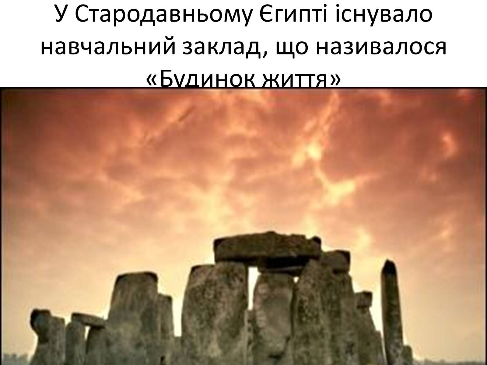 Презентація на тему «Ветлікарі потрібні Україні» - Слайд #4 Презентація на тему «Ветлікарі потрібні Україні» - Слайд #4