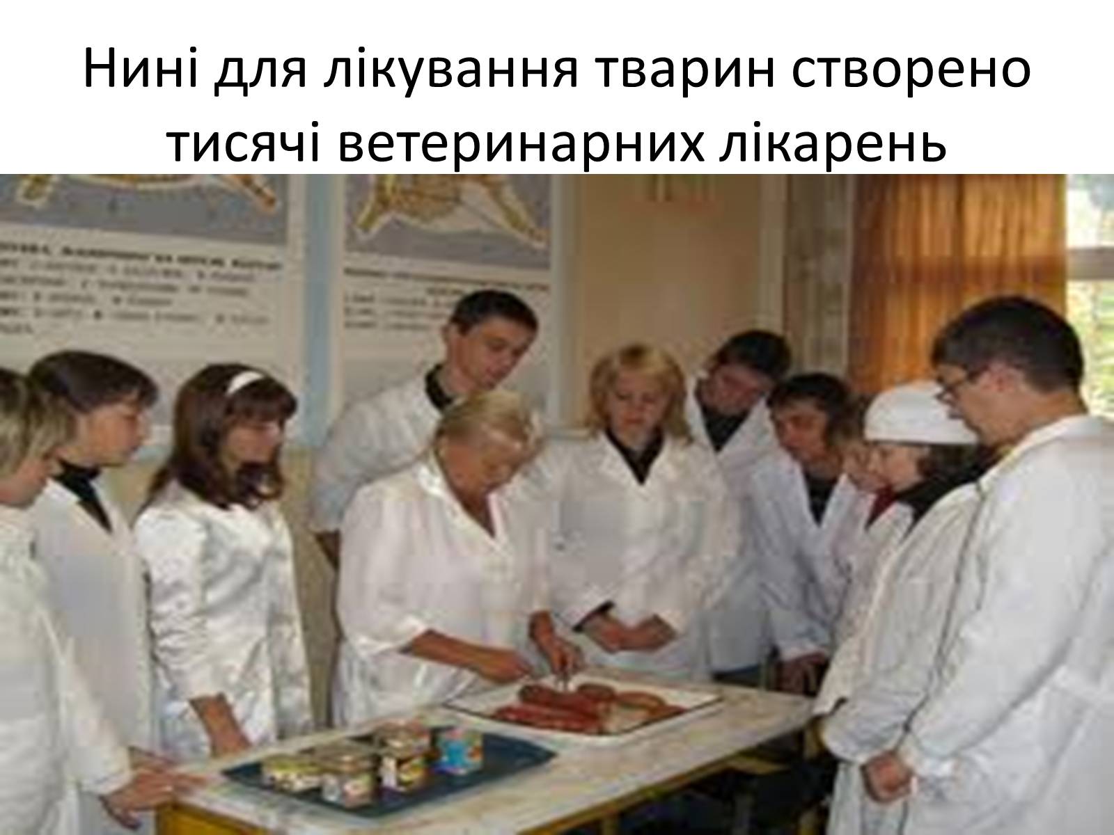 Презентація на тему «Ветлікарі потрібні Україні» - Слайд #7 Презентація на тему «Ветлікарі потрібні Україні» - Слайд #7