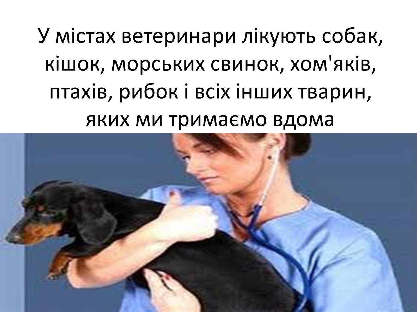 Презентація на тему «Ветлікарі потрібні Україні» - Слайд #9 Презентація на тему «Ветлікарі потрібні Україні» - Слайд #9
