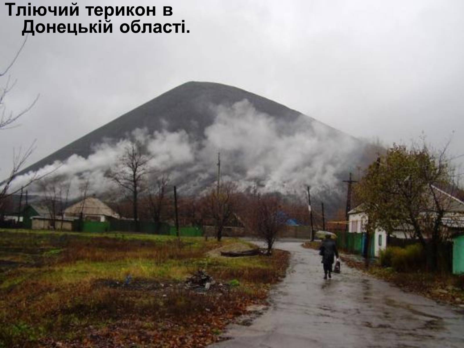 Презентація на тему «Деградація природних компонентів України» - Слайд #12 Презентація на тему «Деградація природних компонентів України» - Слайд #12