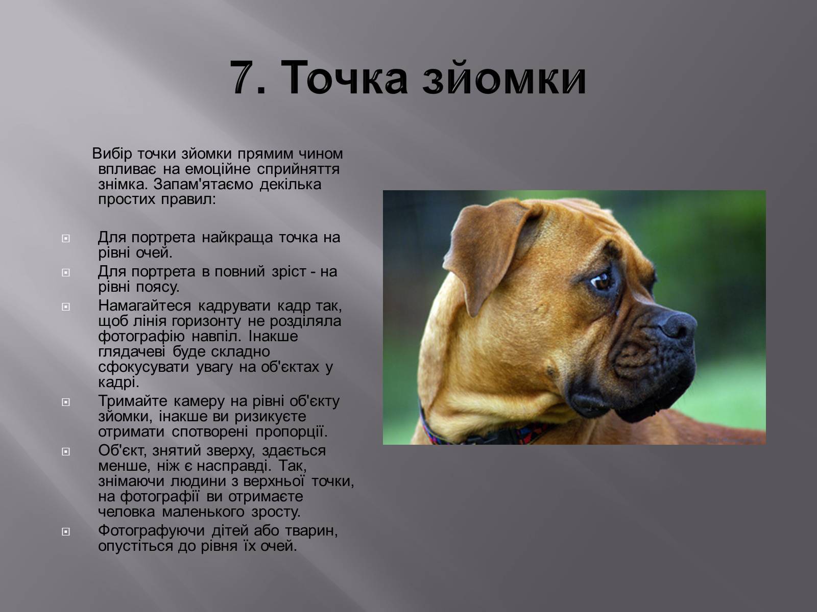 Презентація на тему «Композиція у фотографіях» - Слайд #9 Презентація на тему «Композиція у фотографіях» - Слайд #9