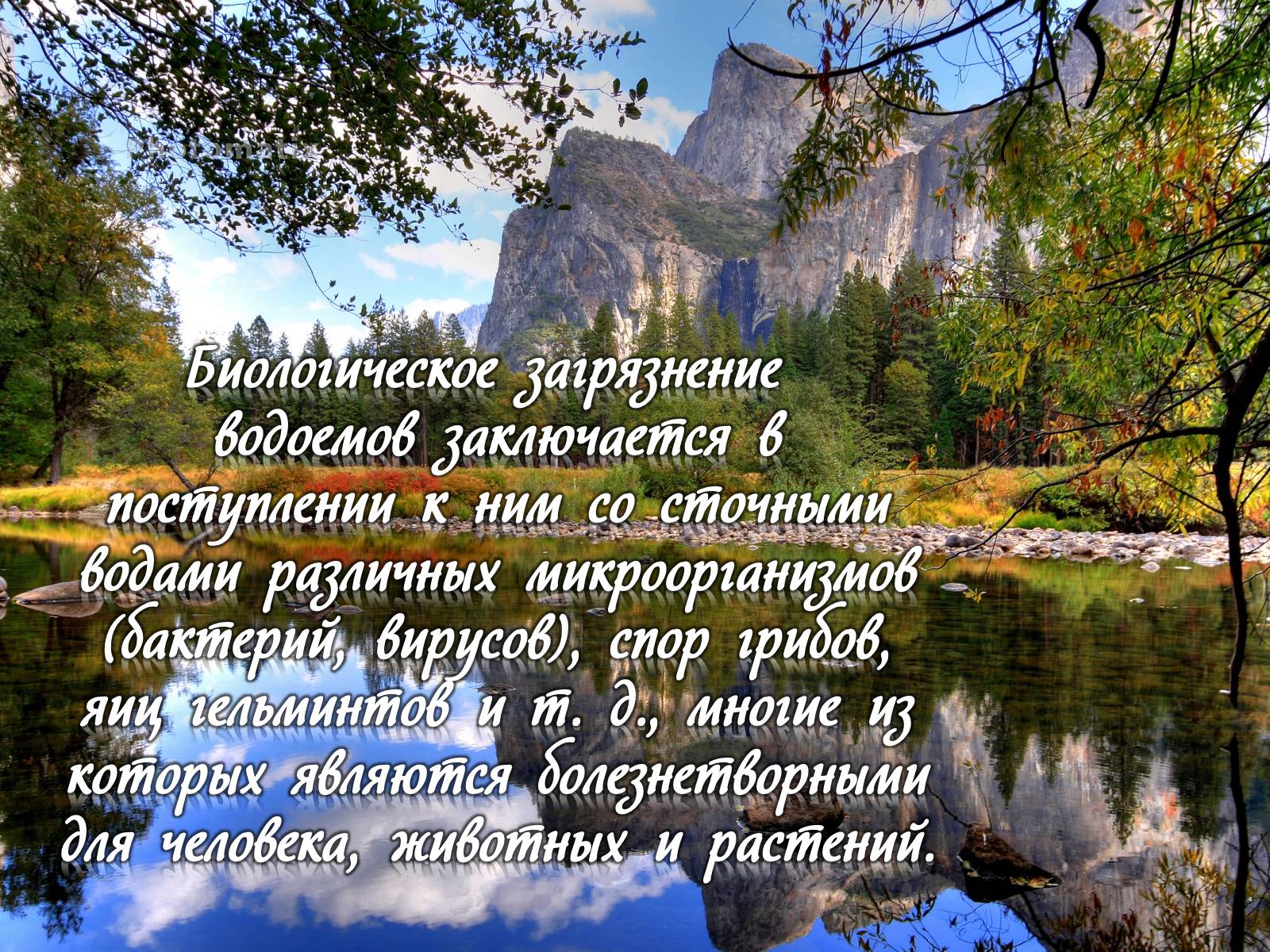 Презентація на тему «Деградация гидросферы» - Слайд #14 Презентація на тему «Деградация гидросферы» - Слайд #14