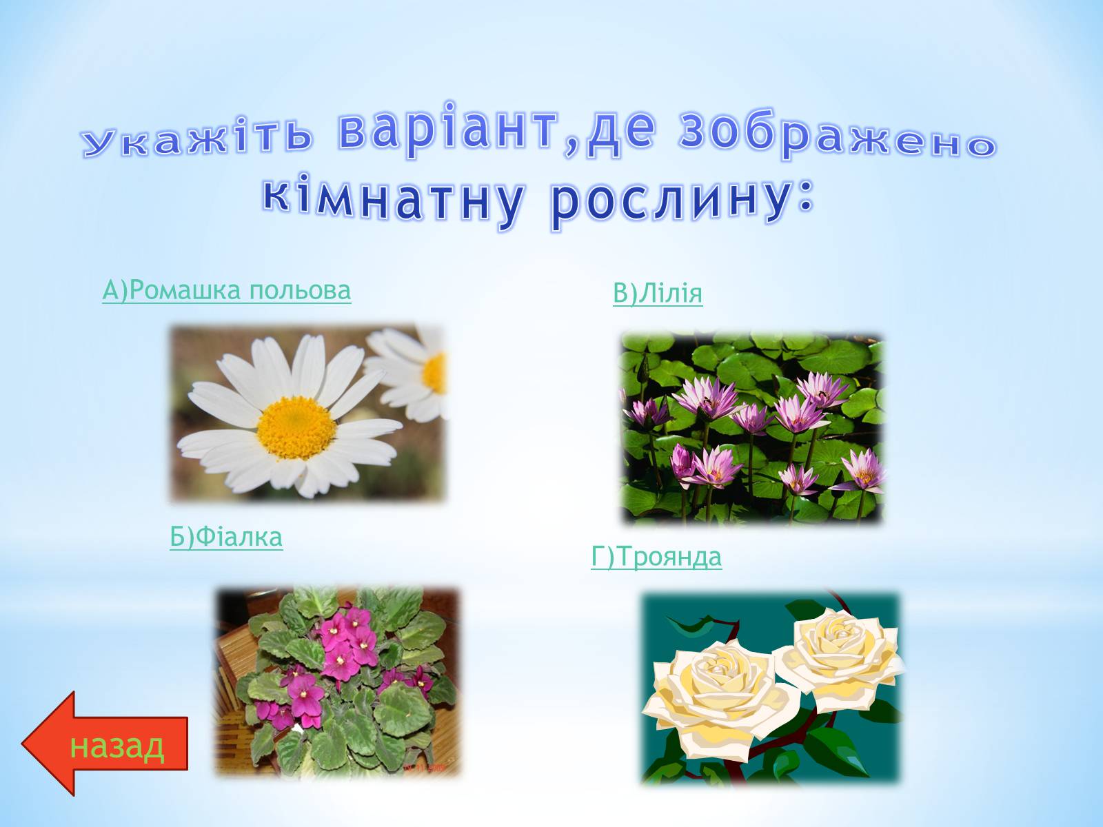 Презентація на тему «Різноманітний сад природи» - Слайд #3 Презентація на тему «Різноманітний сад природи» - Слайд #3