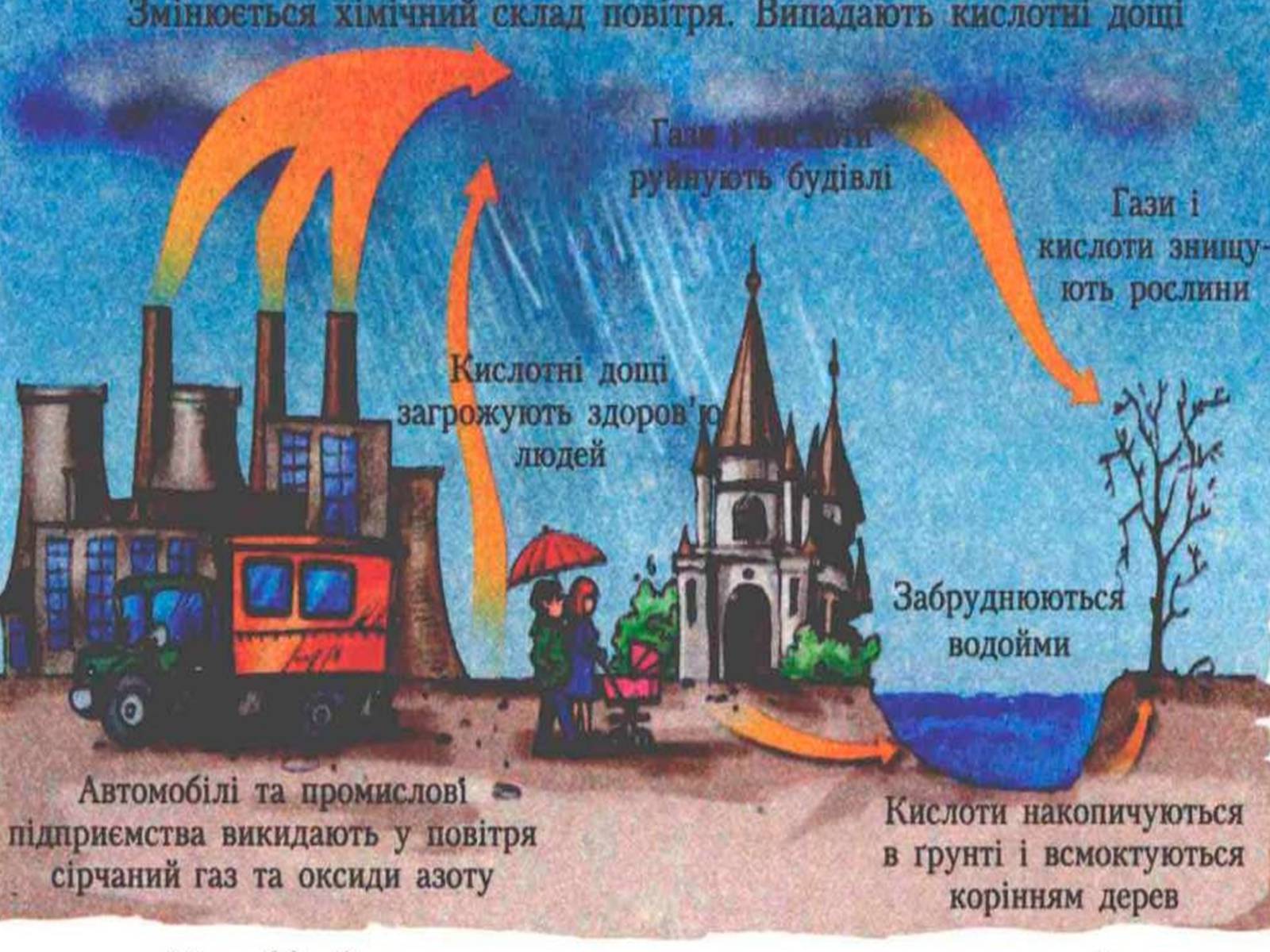 Презентація на тему «Охорона навколишнього серидовища» - Слайд #10 Презентація на тему «Охорона навколишнього серидовища» - Слайд #10