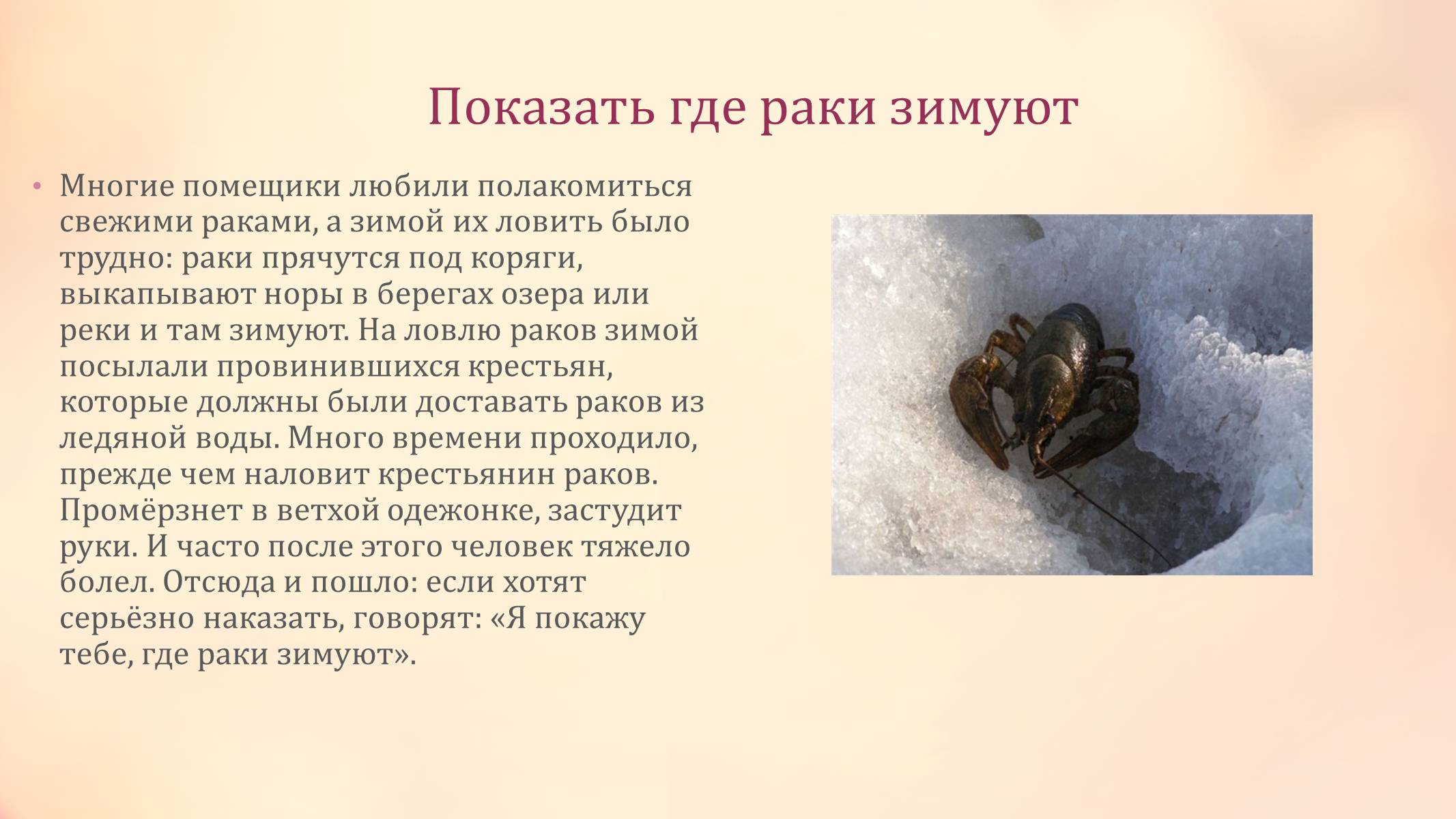 Презентація на тему «Фразеологизмы как средство выразительности речи» - Слайд #7 Презентація на тему «Фразеологизмы как средство выразительности речи» - Слайд #7