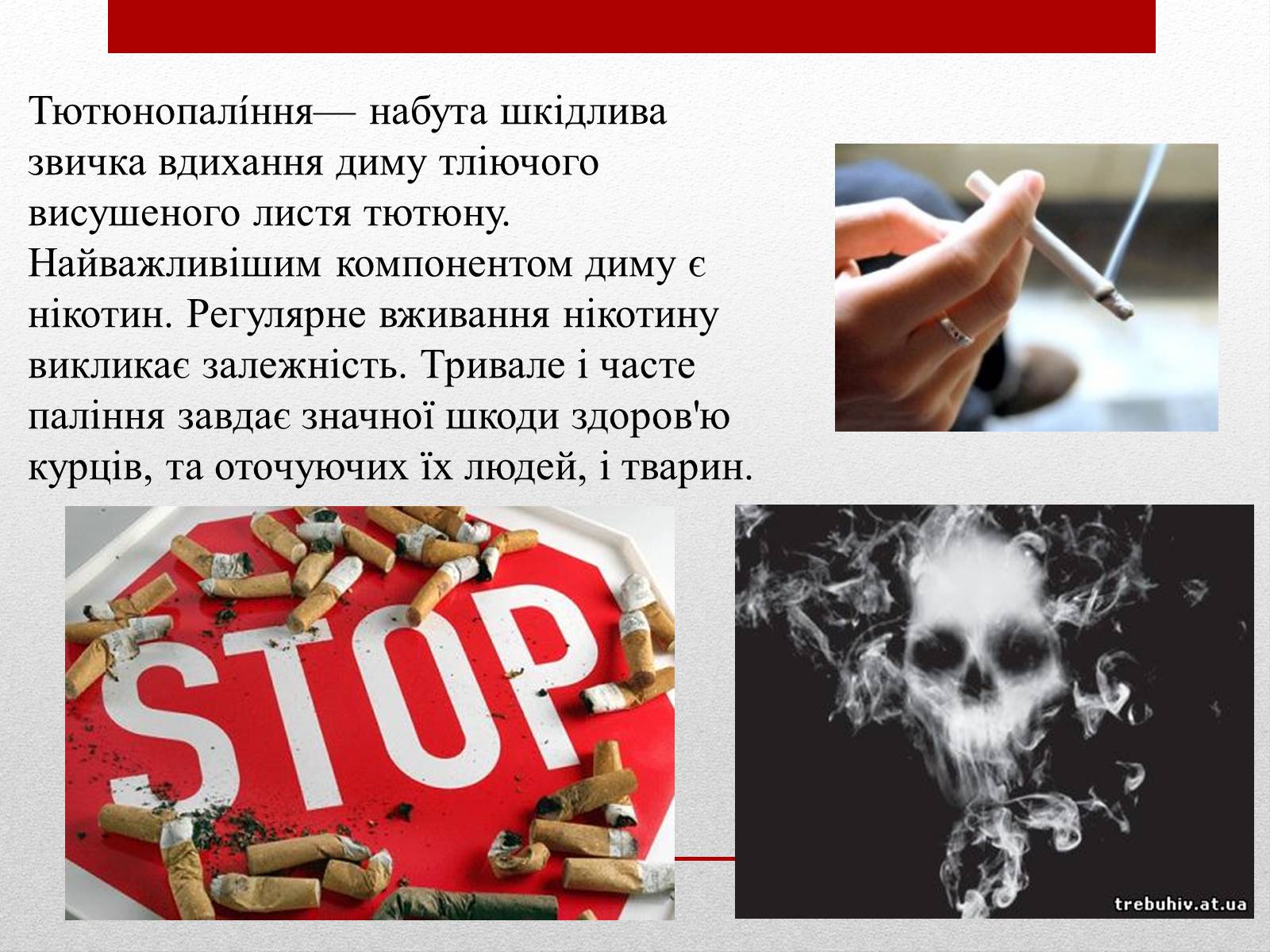 Презентація на тему «Про шкоду тютюнокуріння» - Слайд #2 Презентація на тему «Про шкоду тютюнокуріння» - Слайд #2
