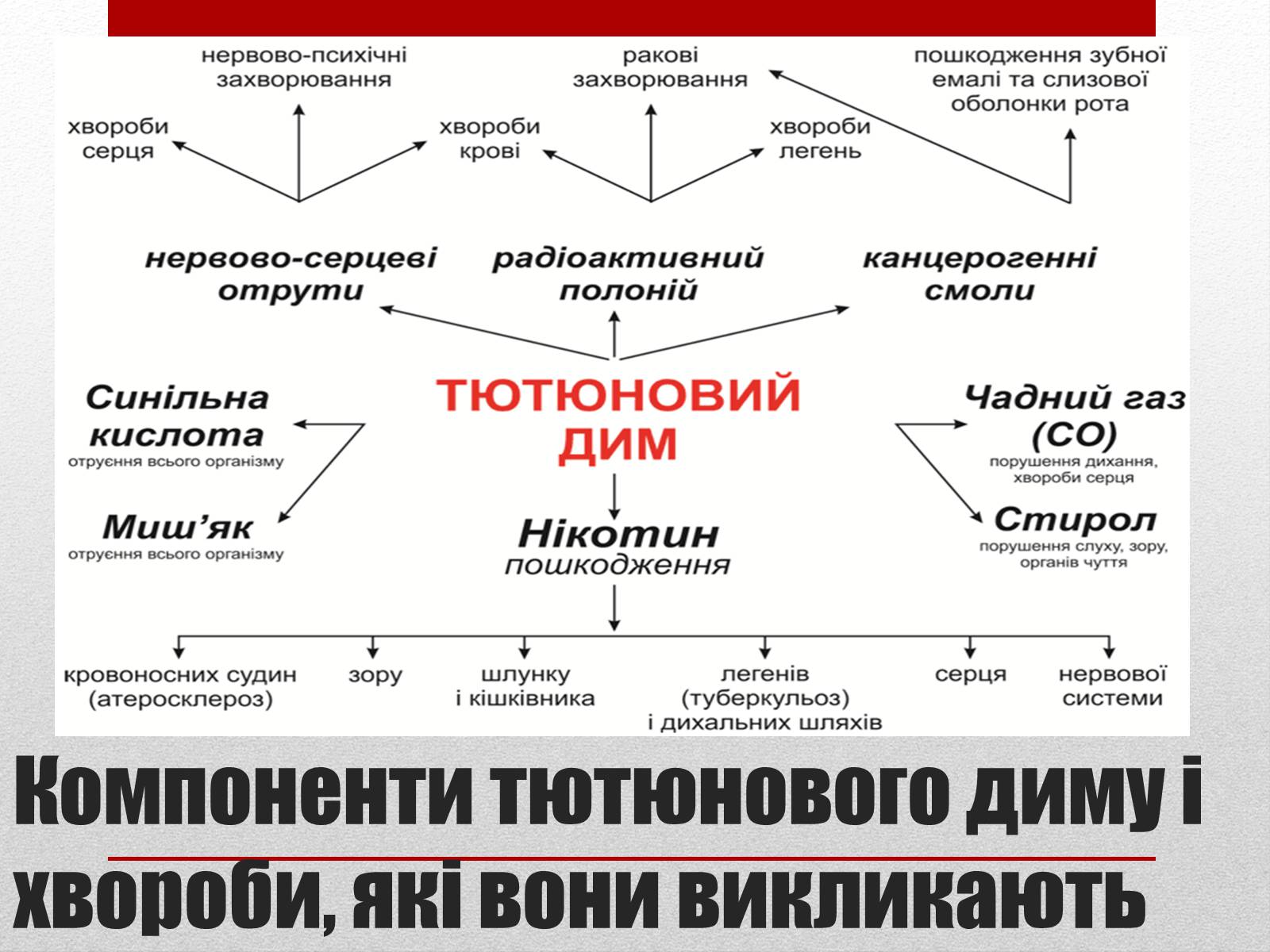 Презентація на тему «Про шкоду тютюнокуріння» - Слайд #6 Презентація на тему «Про шкоду тютюнокуріння» - Слайд #6