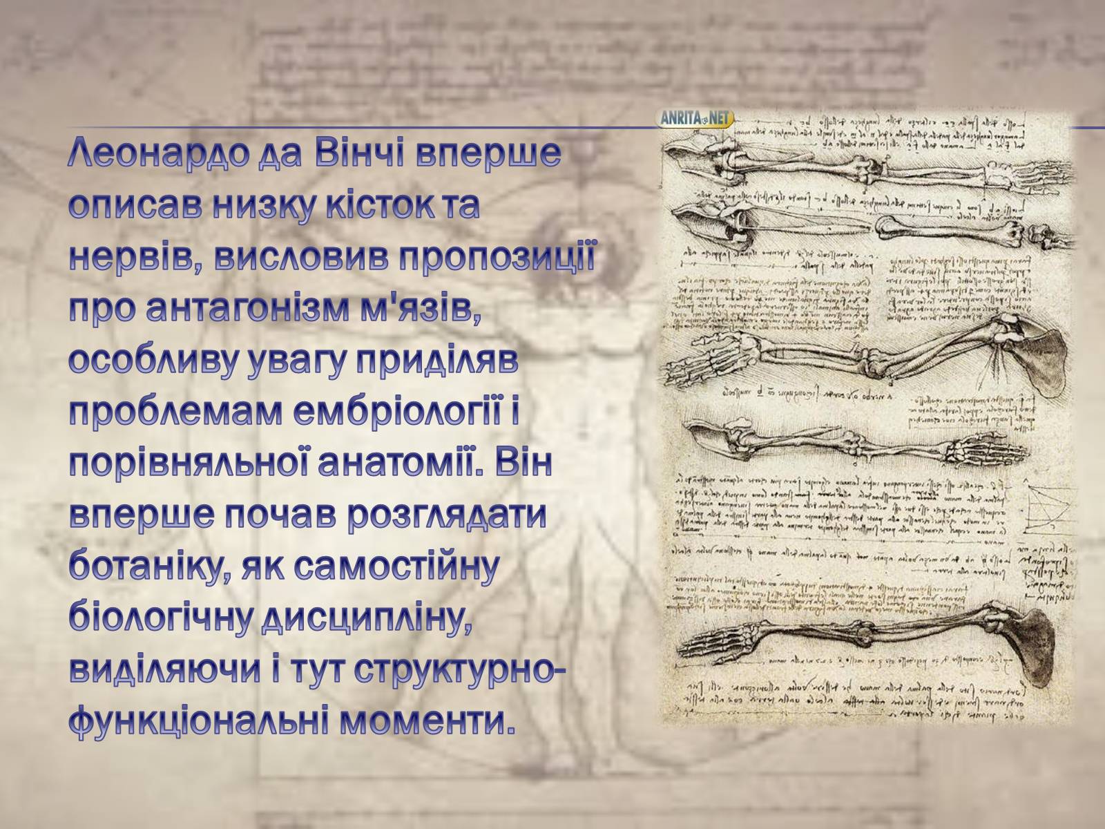 Презентація на тему «Леонардо да Вінчі» (варіант 4) - Слайд #12 Презентація на тему «Леонардо да Вінчі» (варіант 4) - Слайд #12