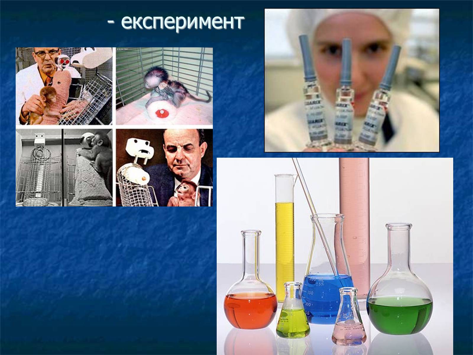 Презентація на тему «Екологія як наука про довкілля» (варіант 1) - Слайд #7 Презентація на тему «Екологія як наука про довкілля» (варіант 1) - Слайд #7