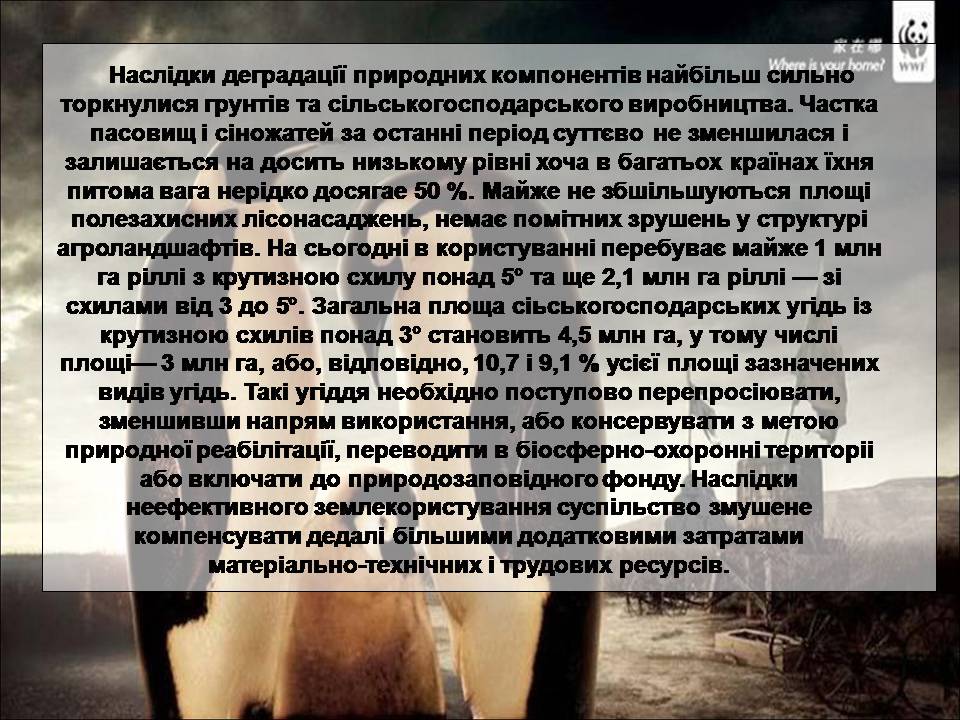 Презентація на тему «Деградація природи» (варіант 4) - Слайд #12 Презентація на тему «Деградація природи» (варіант 4) - Слайд #12