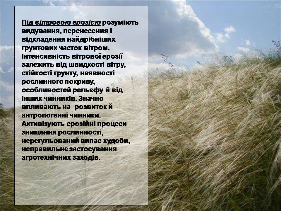Презентація на тему «Деградація природи» (варіант 4) - Слайд #14 Презентація на тему «Деградація природи» (варіант 4) - Слайд #14