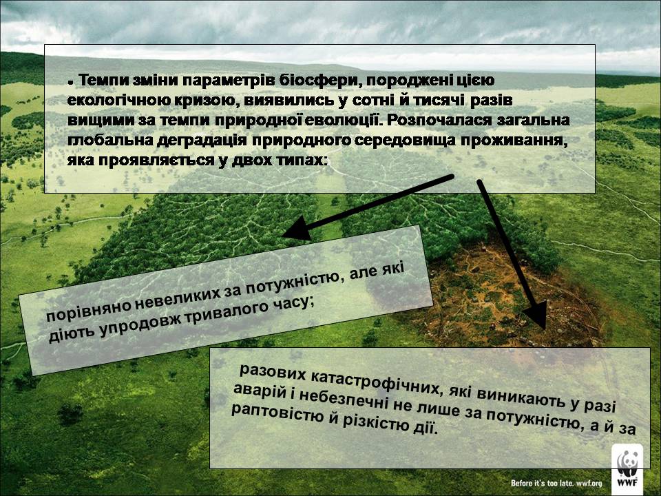 Презентація на тему «Деградація природи» (варіант 4) - Слайд #5 Презентація на тему «Деградація природи» (варіант 4) - Слайд #5