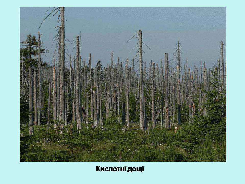 Презентація на тему «Деградація природи» (варіант 4) - Слайд #8 Презентація на тему «Деградація природи» (варіант 4) - Слайд #8