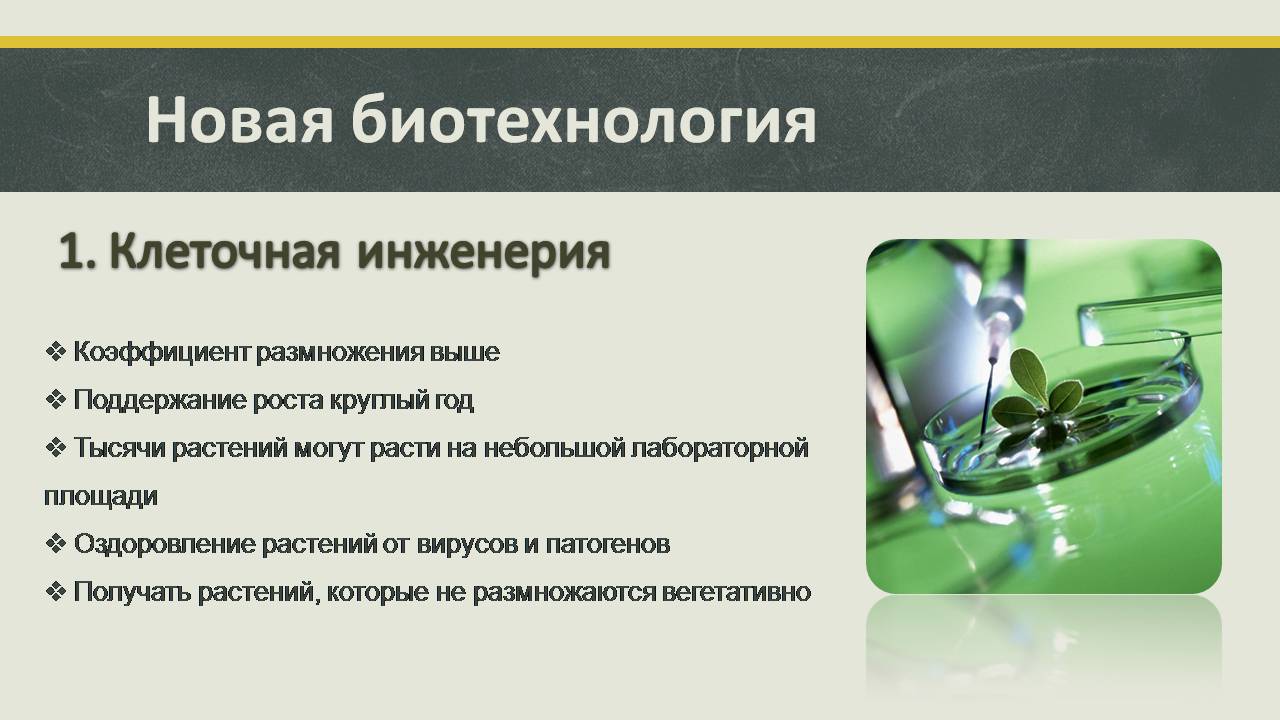 Презентація на тему «Современные направления биотехнологий» - Слайд #6