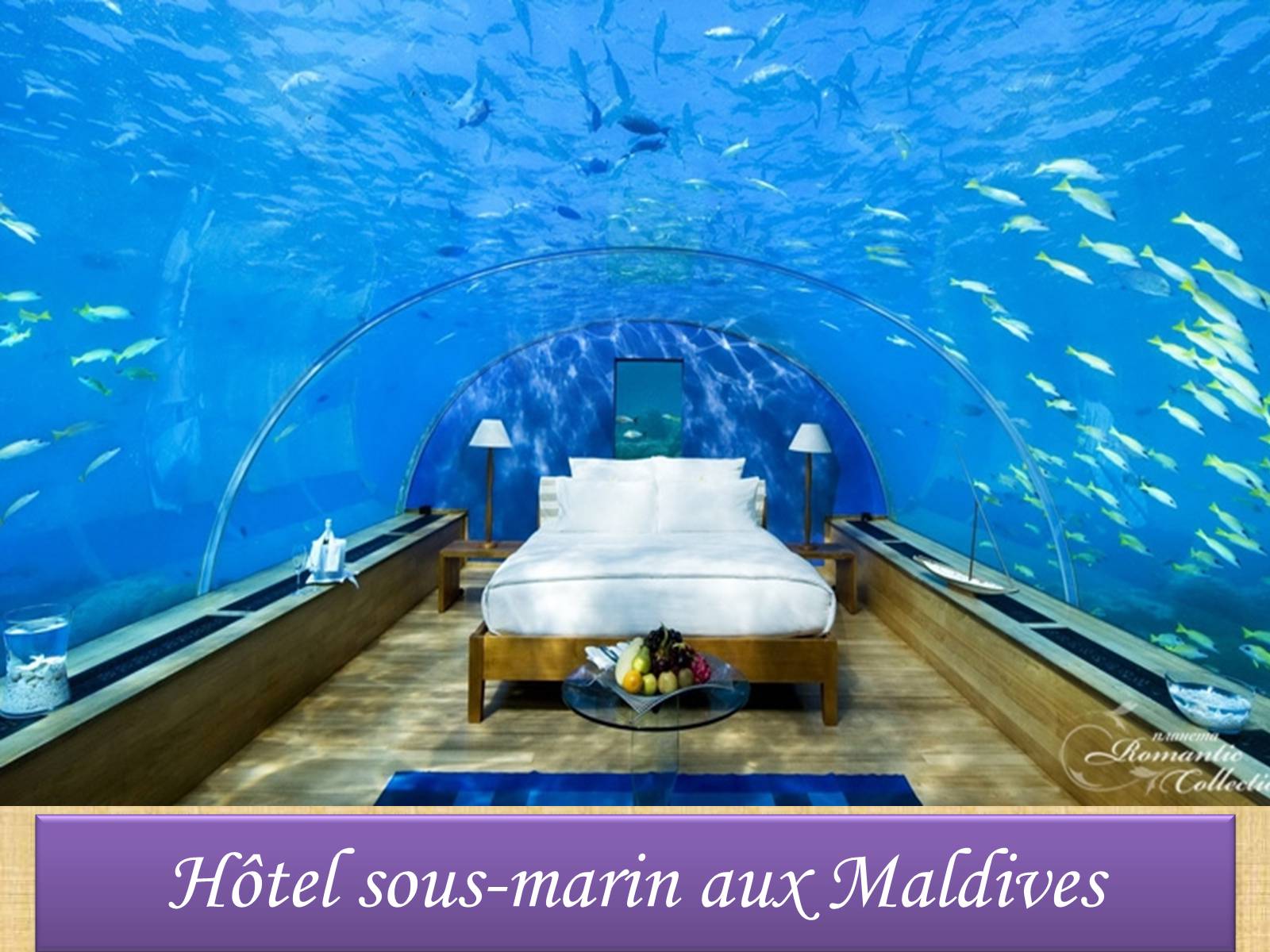 Презентація на тему «Hotels modernes» - Слайд #9 Презентація на тему «Hotels modernes» - Слайд #9