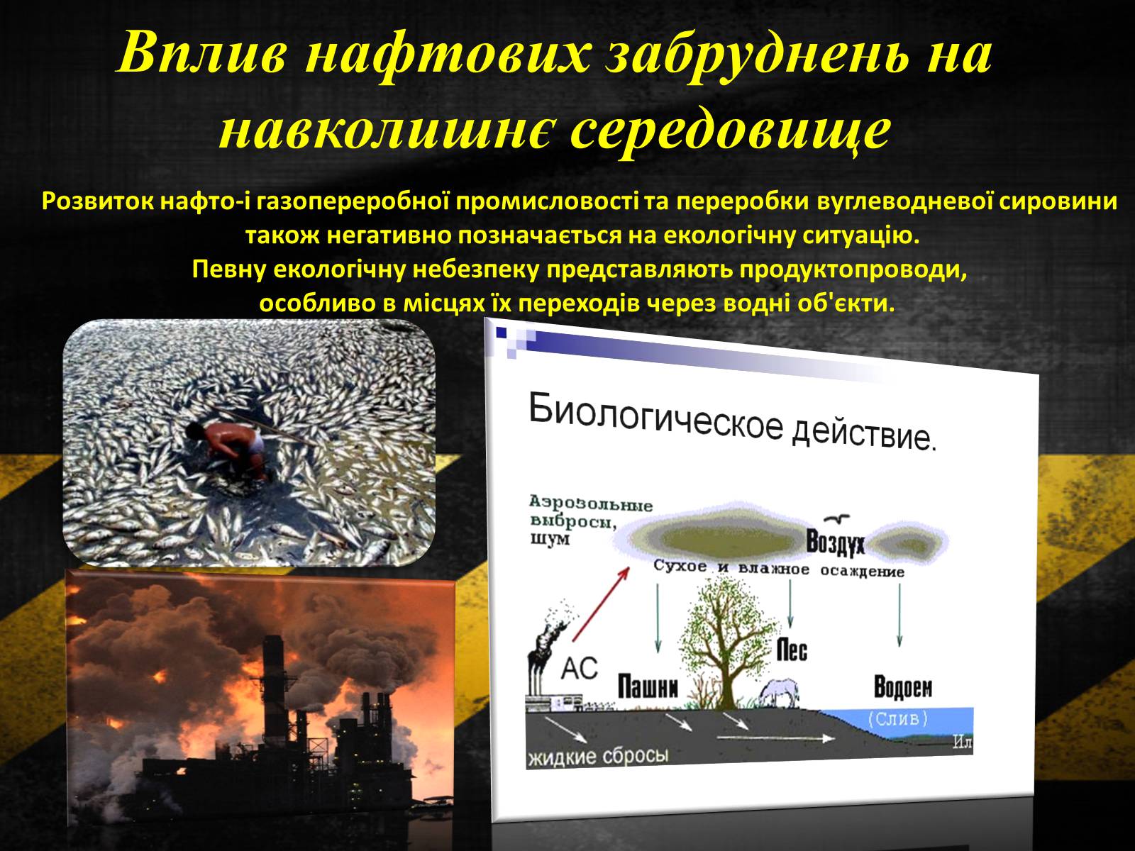Презентація на тему «Нафтові забруднення. Сучасні методи знешкодження нафтозабруднень» - Слайд #3 Презентація на тему «Нафтові забруднення. Сучасні методи знешкодження нафтозабруднень» - Слайд #3