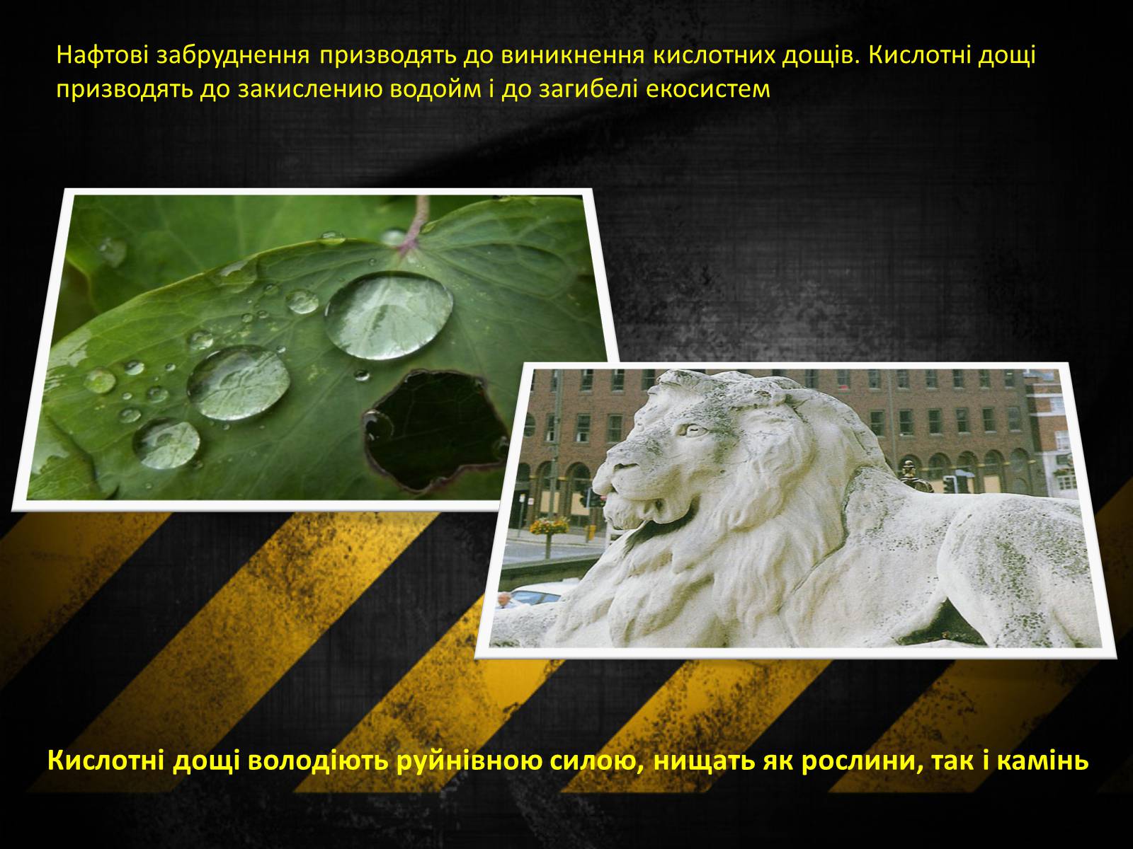 Презентація на тему «Нафтові забруднення. Сучасні методи знешкодження нафтозабруднень» - Слайд #8 Презентація на тему «Нафтові забруднення. Сучасні методи знешкодження нафтозабруднень» - Слайд #8