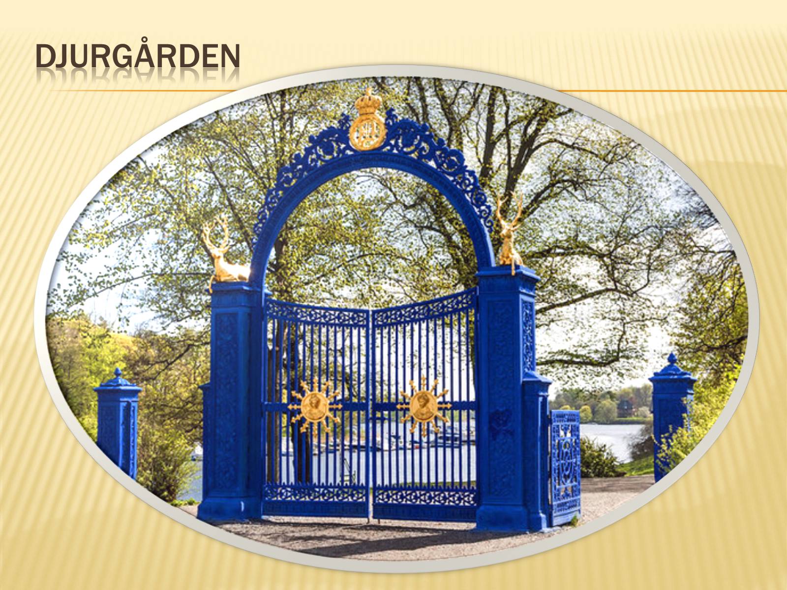 Презентація на тему «Sweden» - Слайд #19 Презентація на тему «Sweden» - Слайд #19