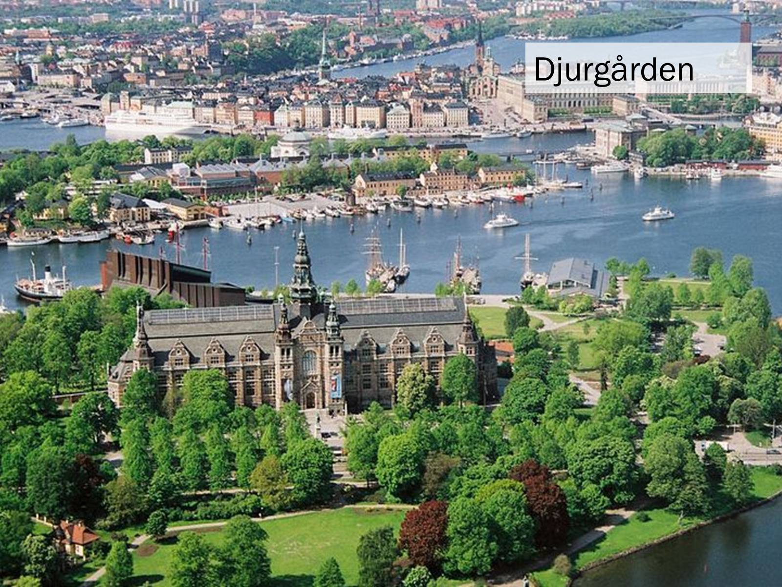 Презентація на тему «Sweden» - Слайд #20 Презентація на тему «Sweden» - Слайд #20