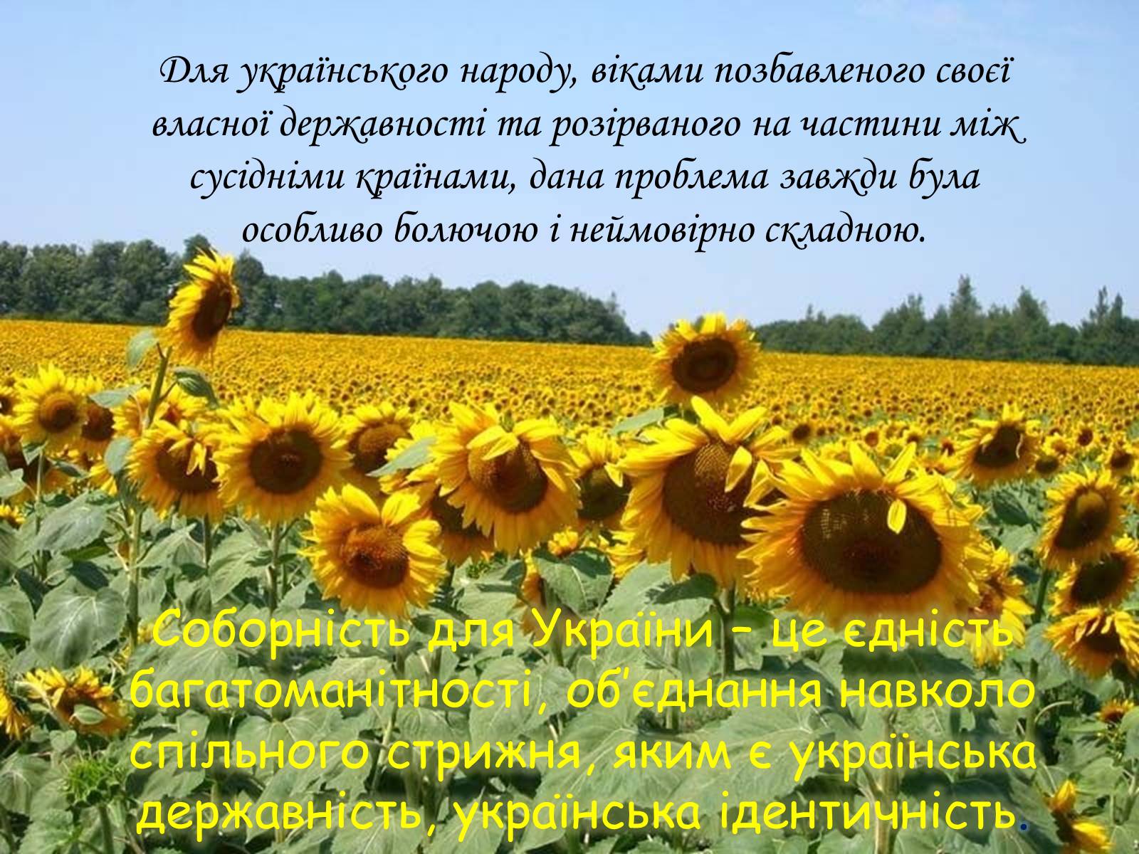 Презентація на тему «День Соборності» (варіант 2) - Слайд #4 Презентація на тему «День Соборності» (варіант 2) - Слайд #4