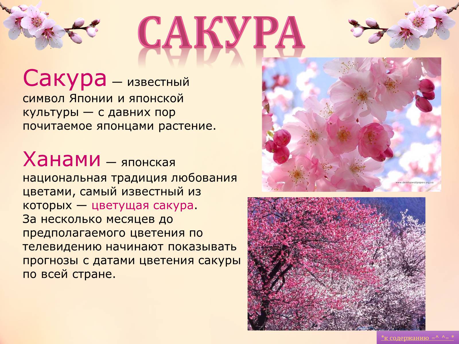 Презентація на тему «Лучшая японская пятерка» - Слайд #4