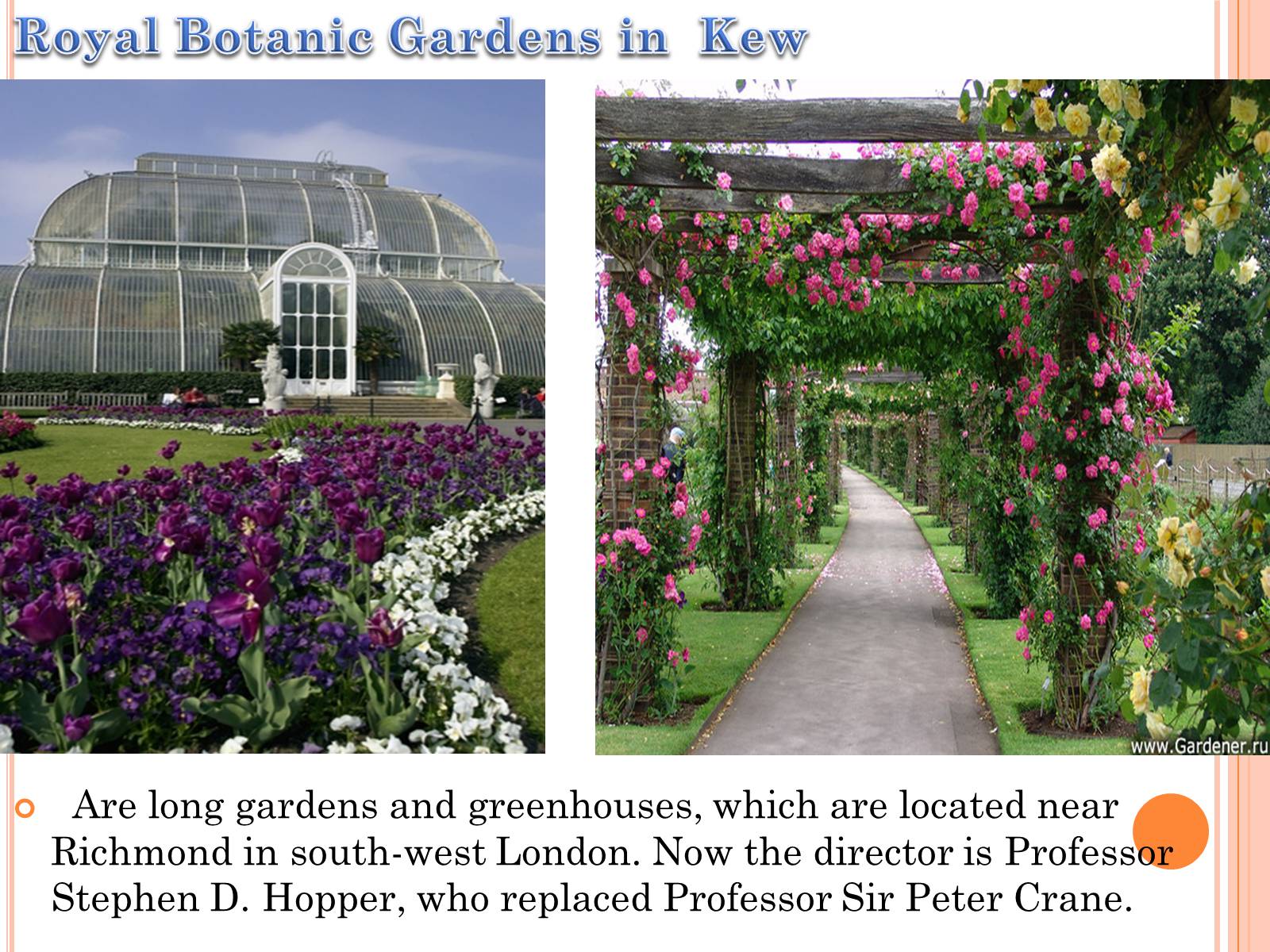 Презентація на тему «Parks and gardens in England» - Слайд #10 Презентація на тему «Parks and gardens in England» - Слайд #10