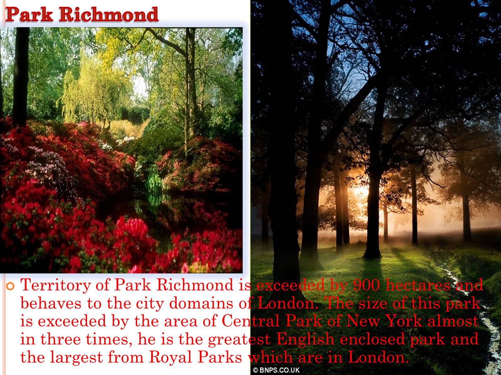 Презентація на тему «Parks and gardens in England» - Слайд #5 Презентація на тему «Parks and gardens in England» - Слайд #5